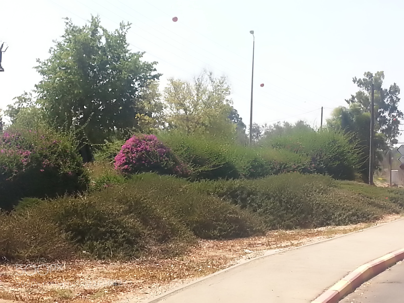 Samsung Galaxy S3 sample photo. Kibbutz einat (1) photography
