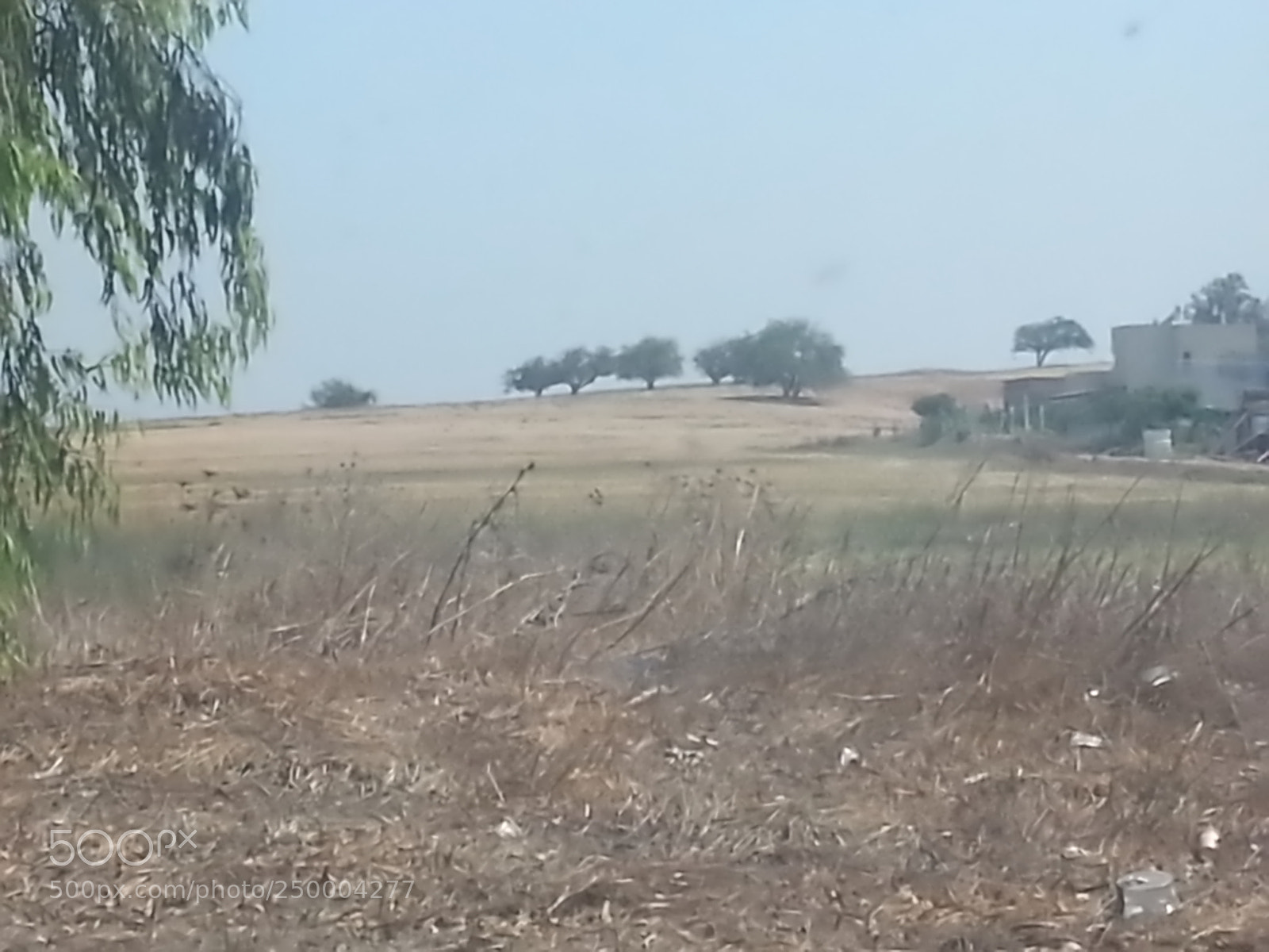 Samsung Galaxy S3 sample photo. Kibbutz einat (1) photography