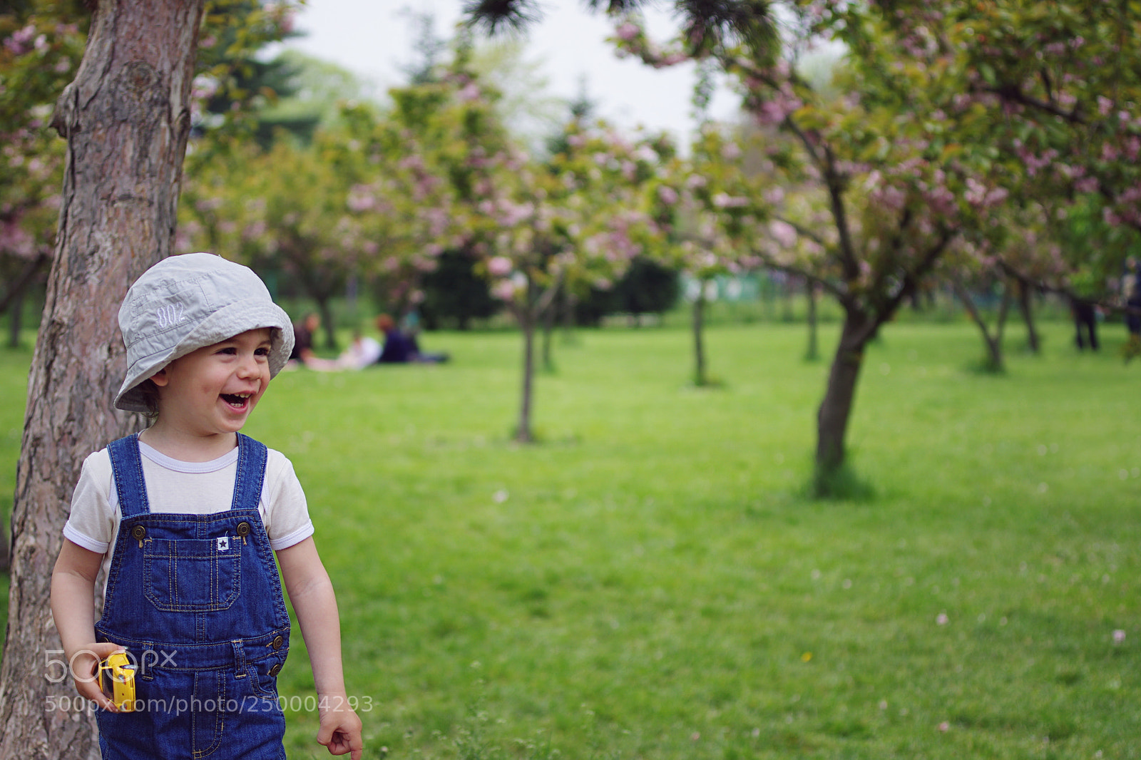 Pentax K-5 II sample photo. Nik photography