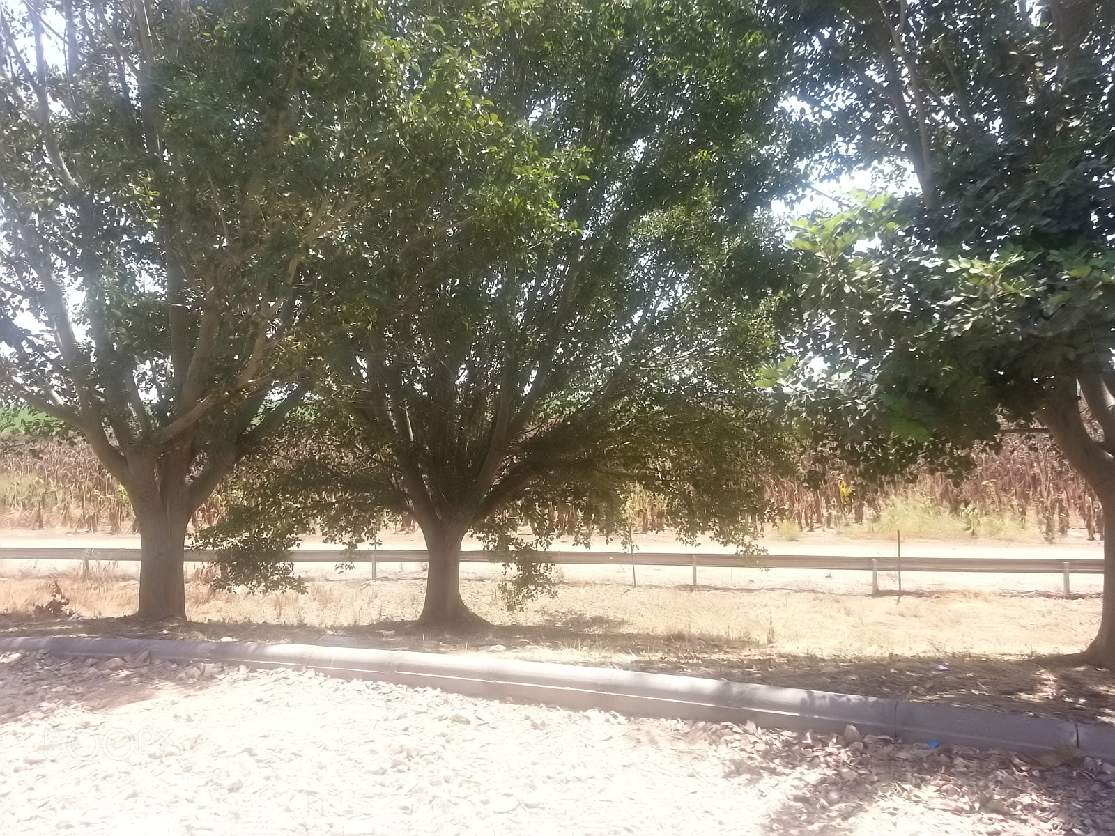 Samsung Galaxy S3 sample photo. Kibbutz einat (1) photography