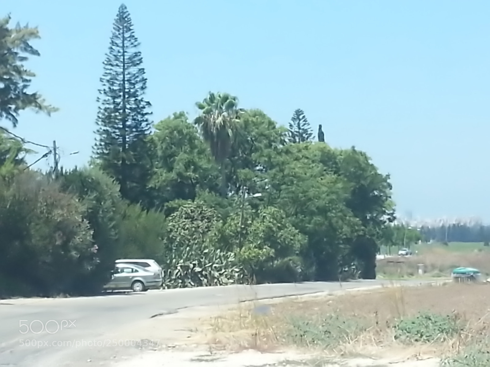 Samsung Galaxy S3 sample photo. Kibbutz einat (1) photography