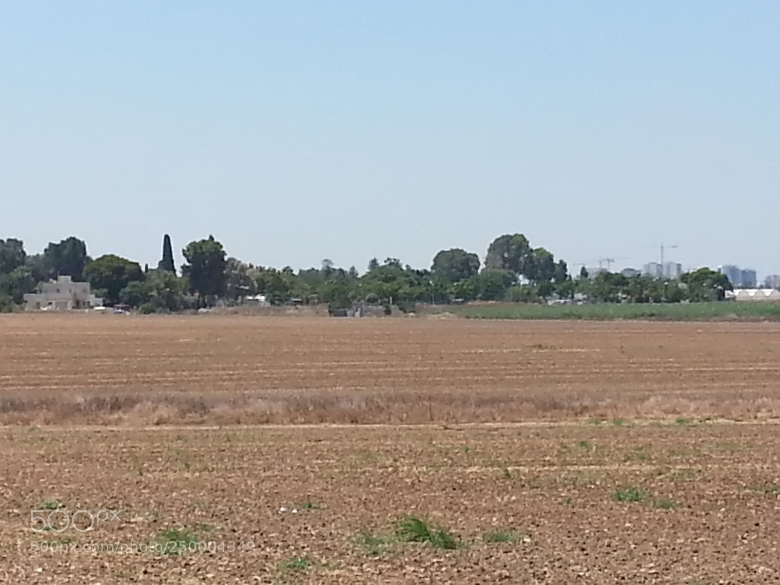 Samsung Galaxy S3 sample photo. Kibbutz einat (1) photography