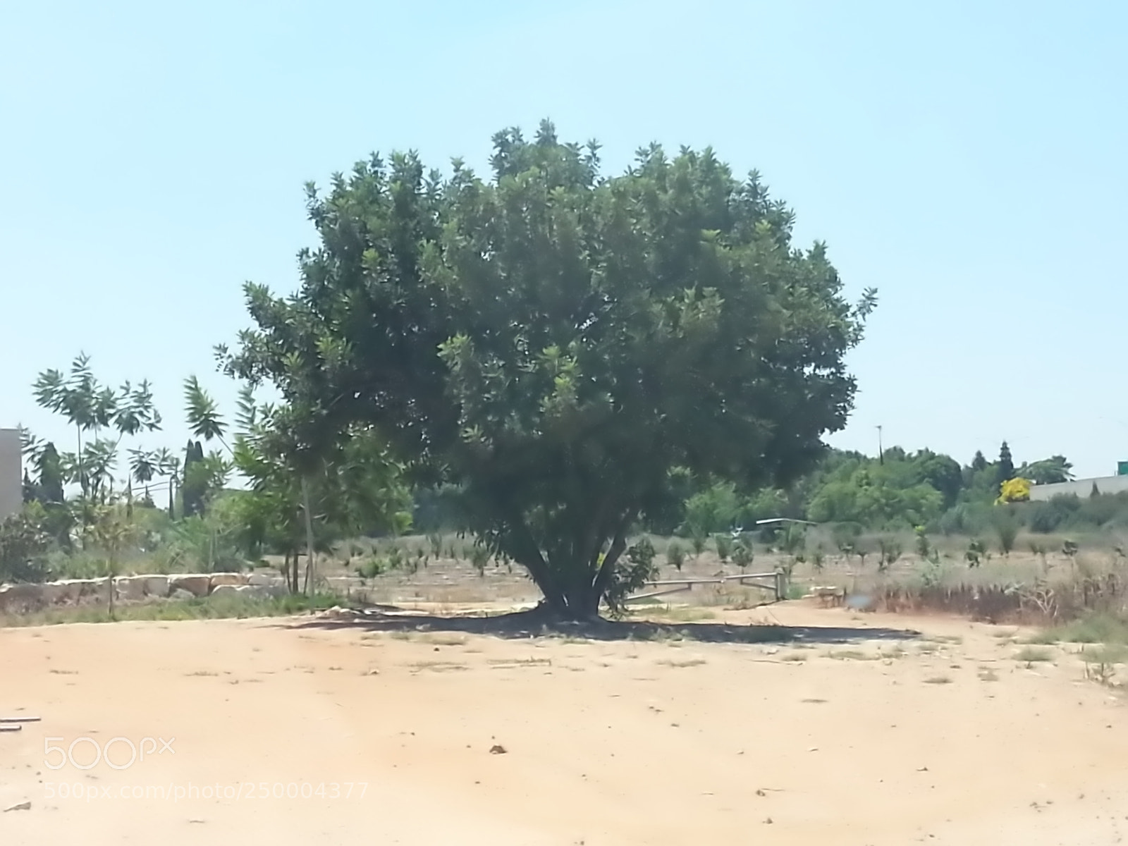 Samsung Galaxy S3 sample photo. Kibbutz einat (1) photography