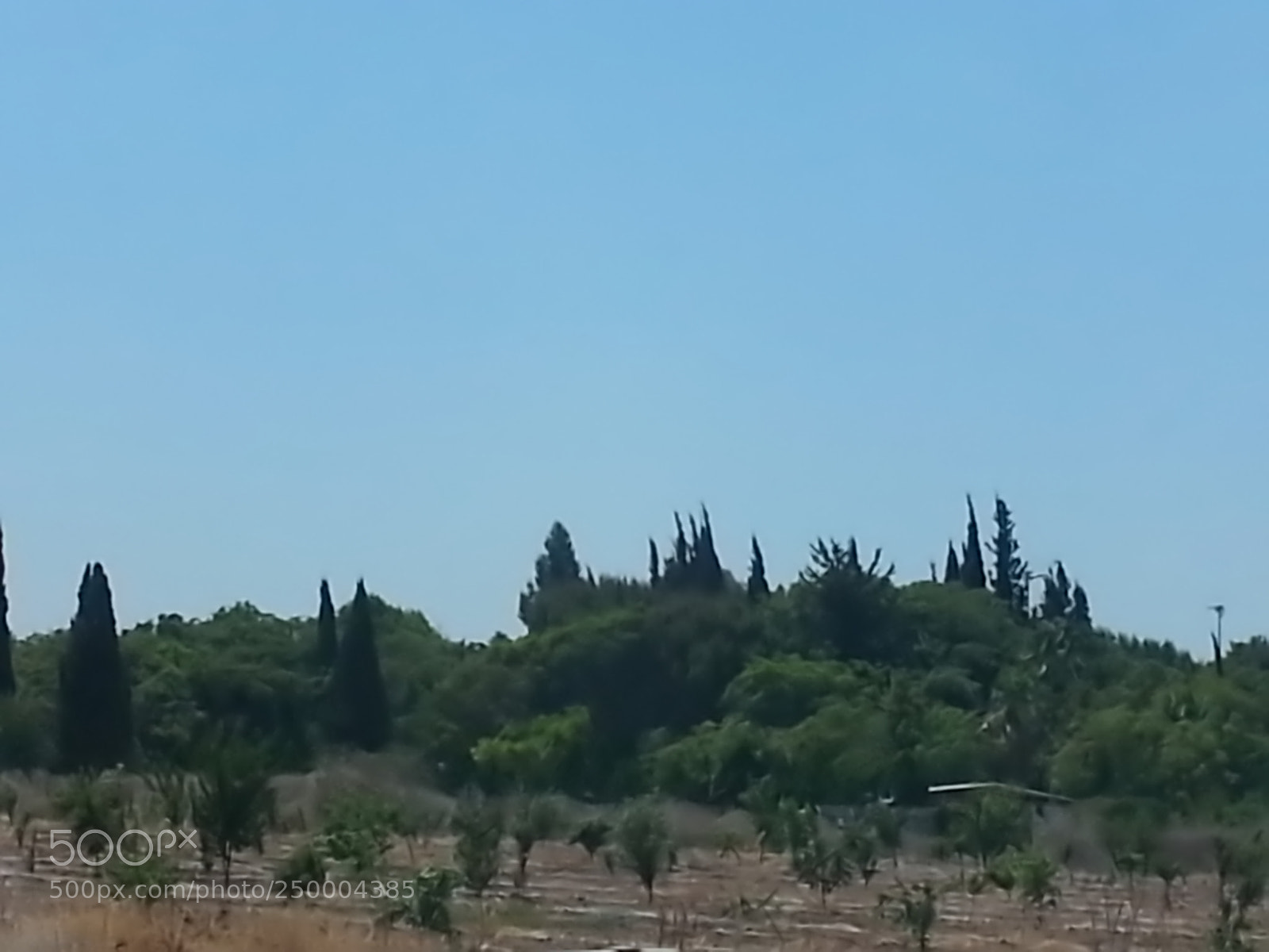 Samsung Galaxy S3 sample photo. Kibbutz einat (1) photography
