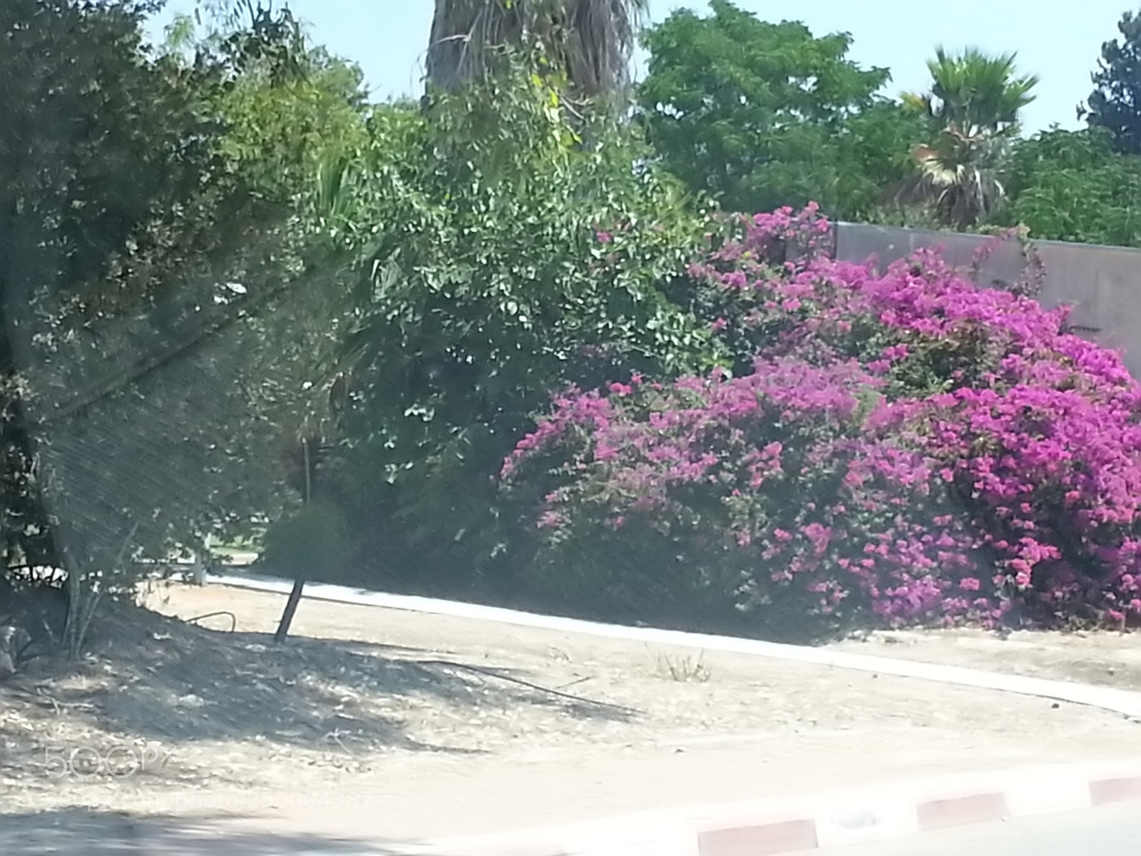 Samsung Galaxy S3 sample photo. Kibbutz einat (1) photography