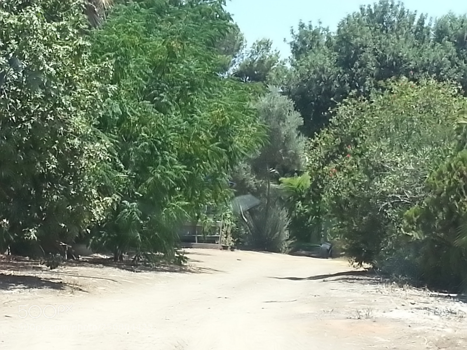 Samsung Galaxy S3 sample photo. Kibbutz einat (1) photography