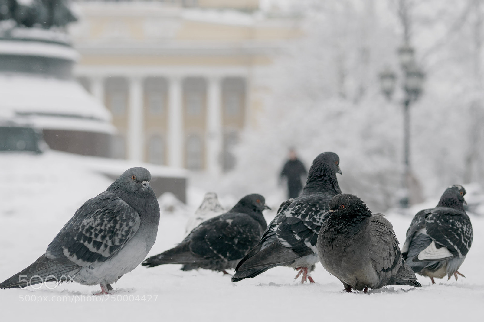 Olympus OM-D E-M1 sample photo. Winter is still here photography