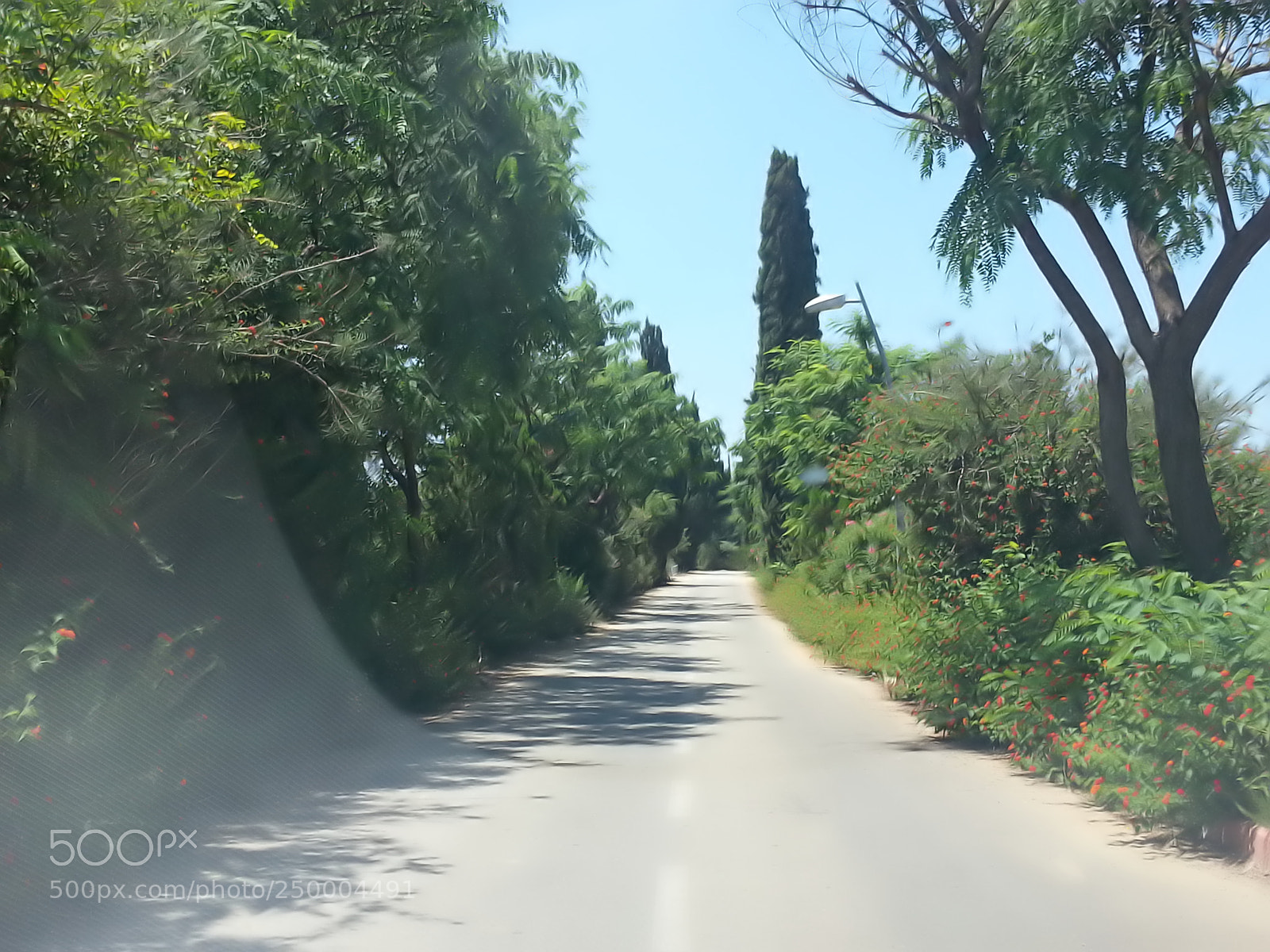 Samsung Galaxy S3 sample photo. Kibbutz einat (1) photography