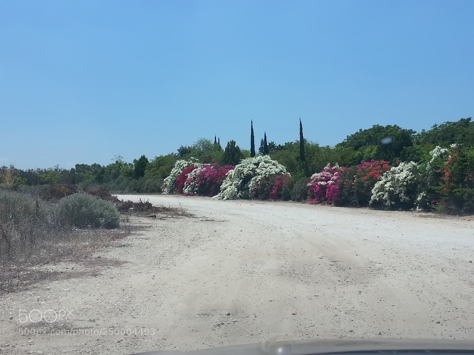 Samsung Galaxy S3 sample photo. Kibbutz einat (1) photography