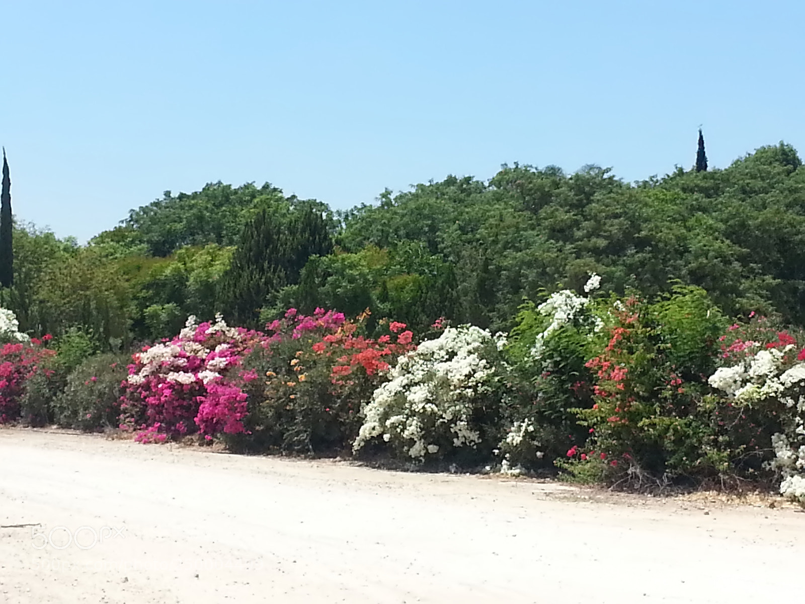 Samsung Galaxy S3 sample photo. Kibbutz einat (1) photography