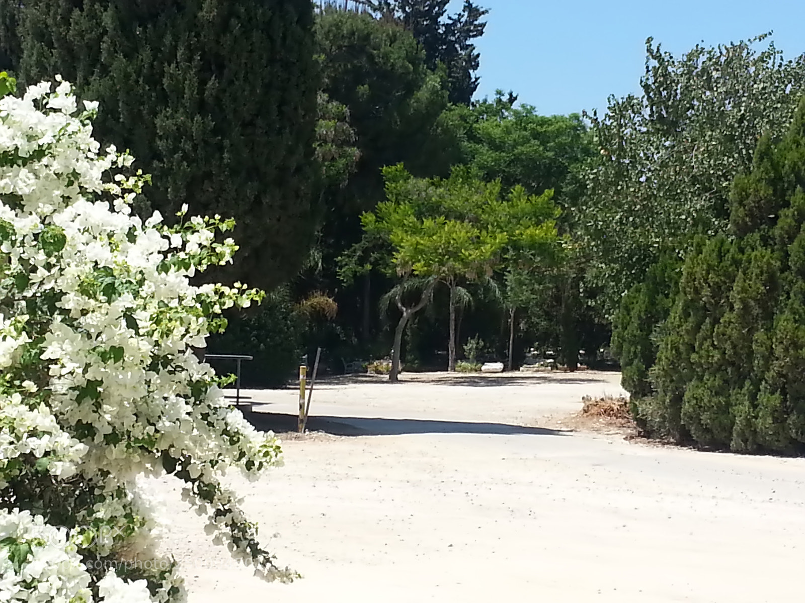 Samsung Galaxy S3 sample photo. Kibbutz einat (1) photography