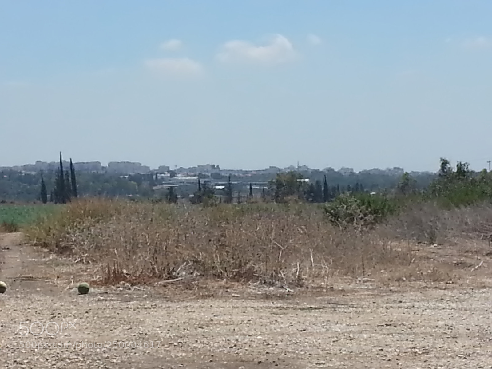 Samsung Galaxy S3 sample photo. Kibbutz einat (1) photography