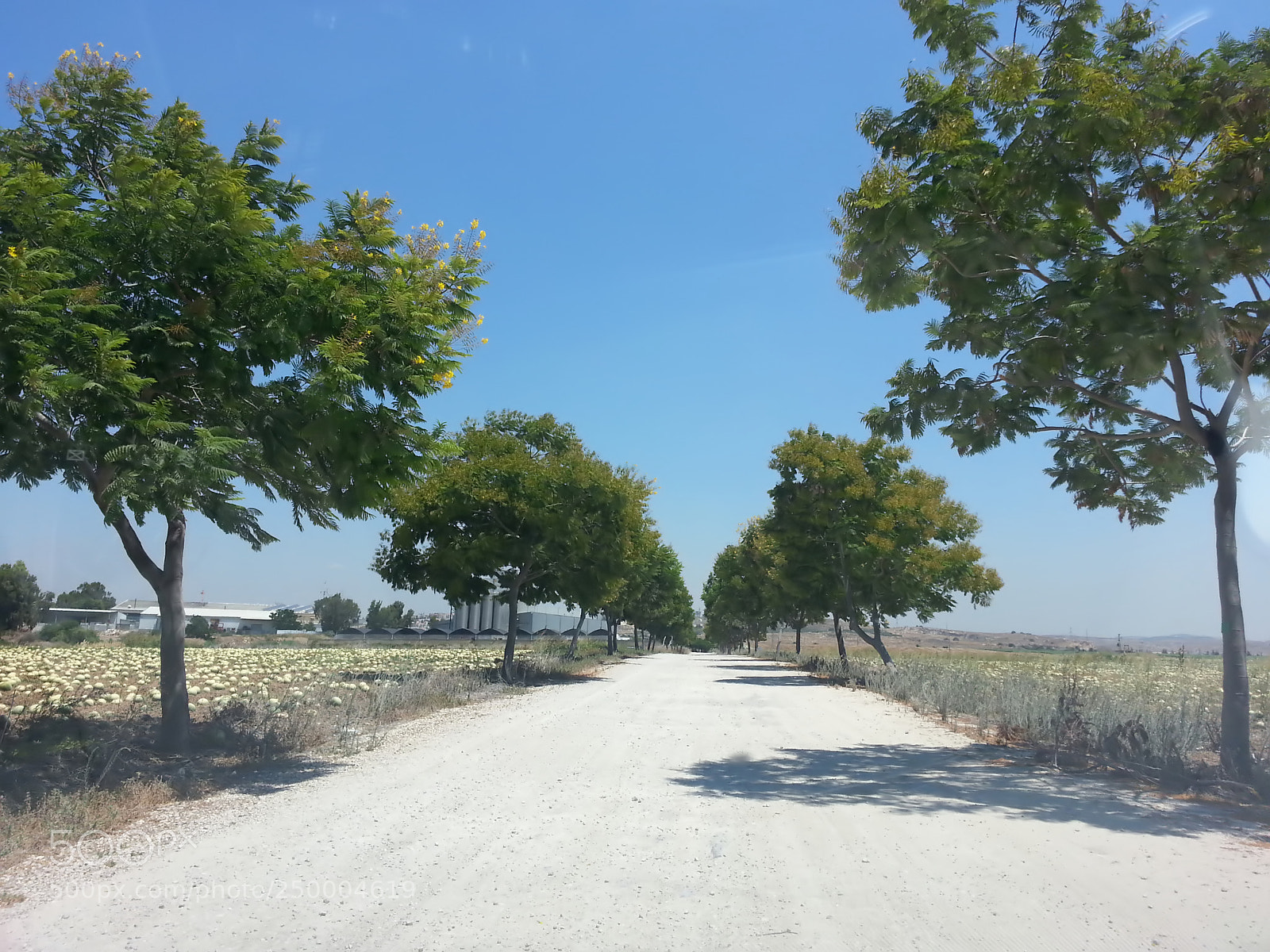 Samsung Galaxy S3 sample photo. Kibbutz einat (1) photography