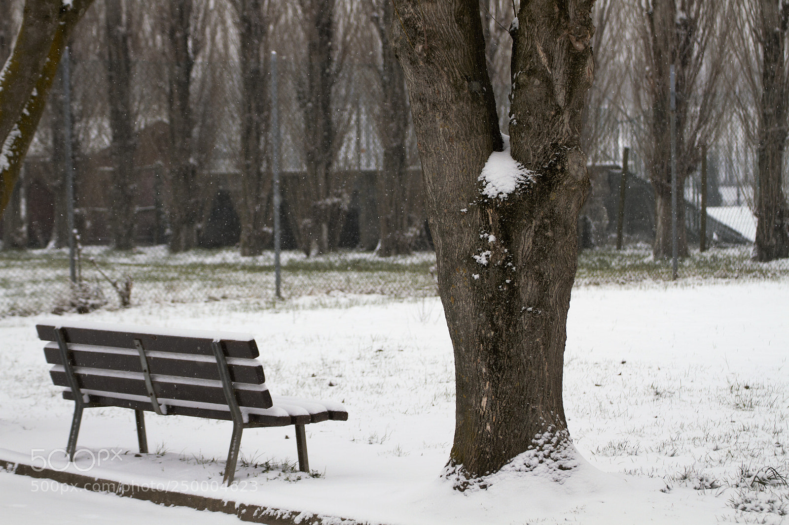 Canon EOS 7D sample photo. Winter in march photography