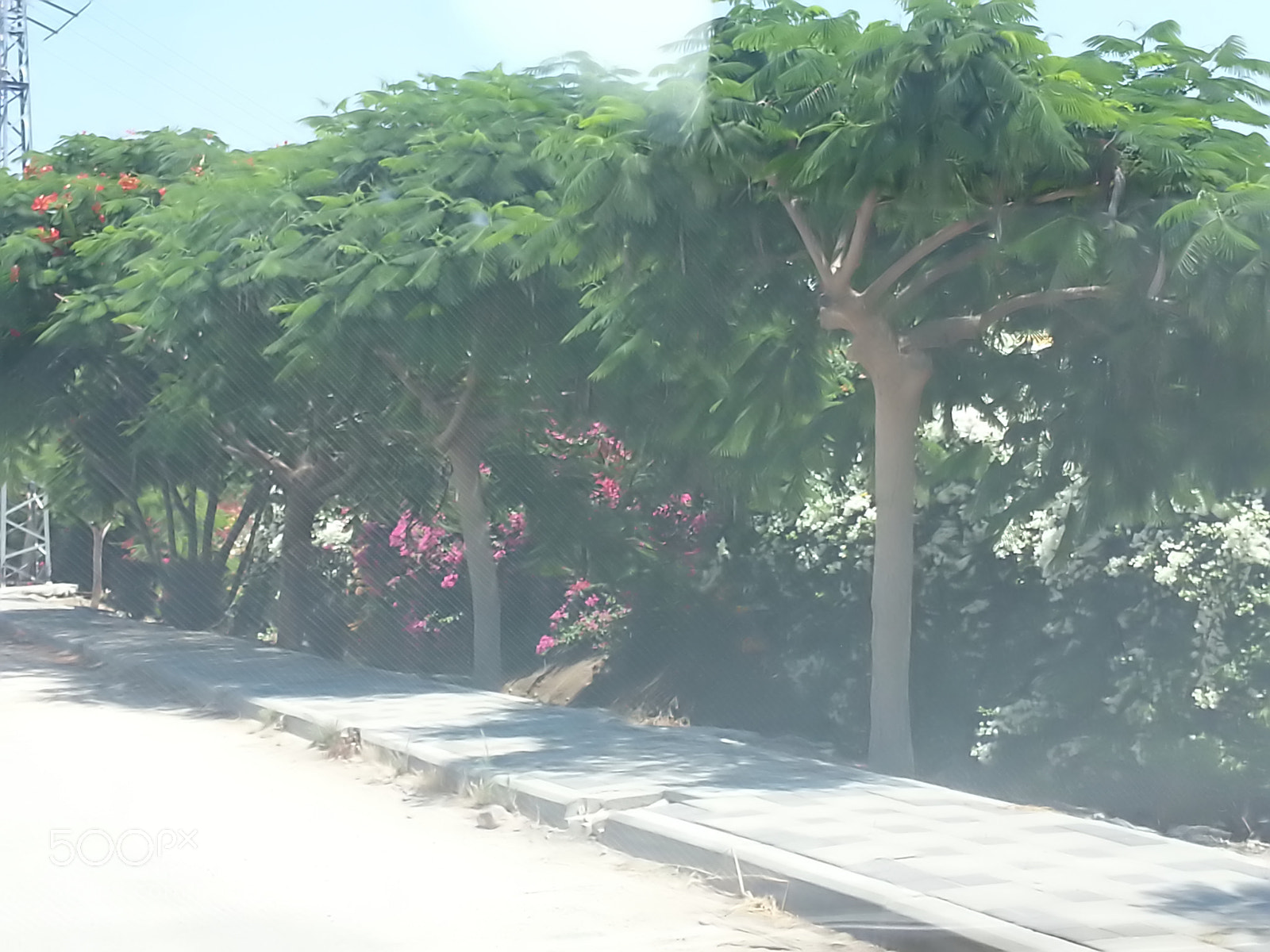 Samsung Galaxy S3 sample photo. Kibbutz einat (1) photography