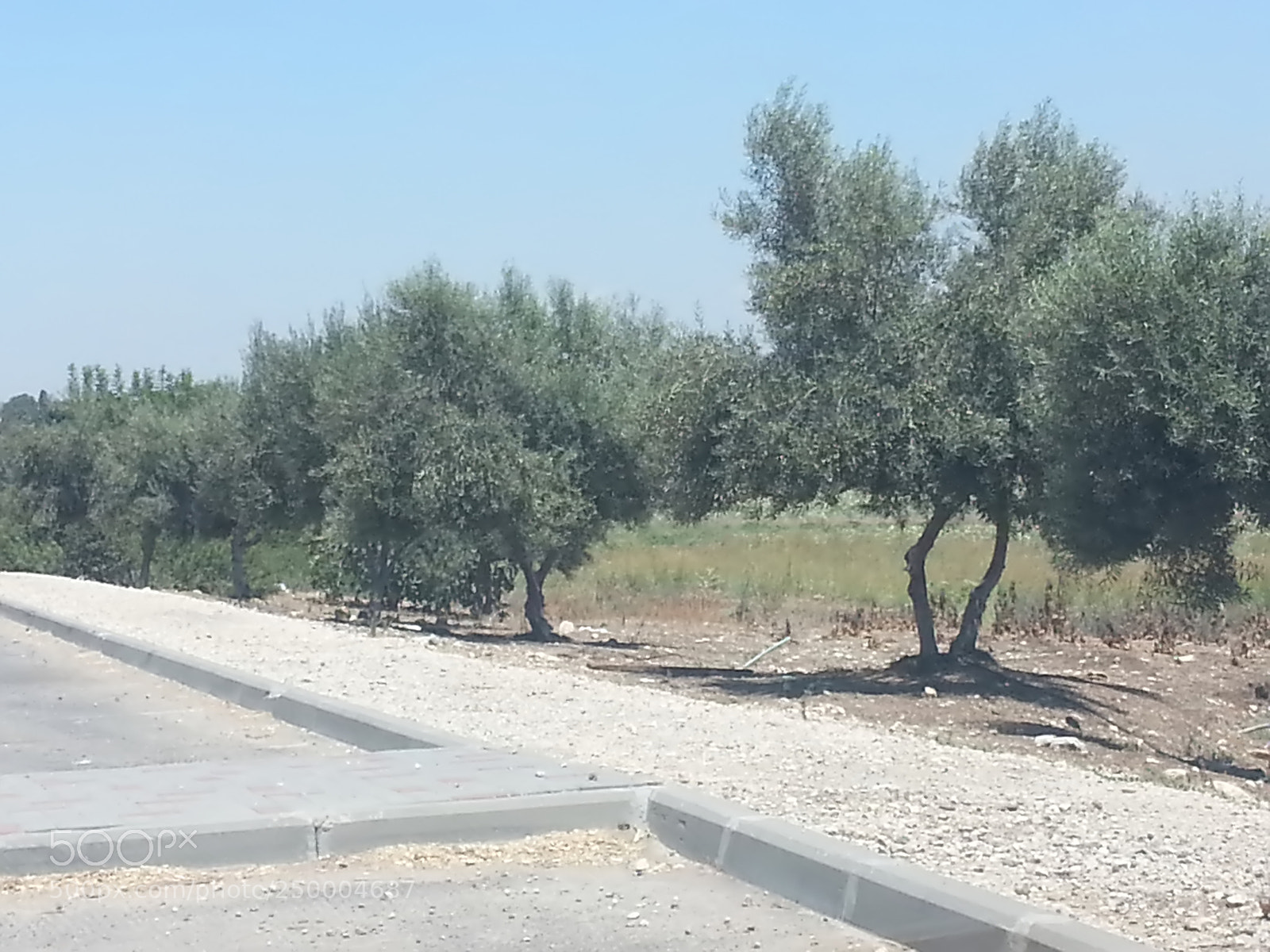 Samsung Galaxy S3 sample photo. Kibbutz einat (1) photography