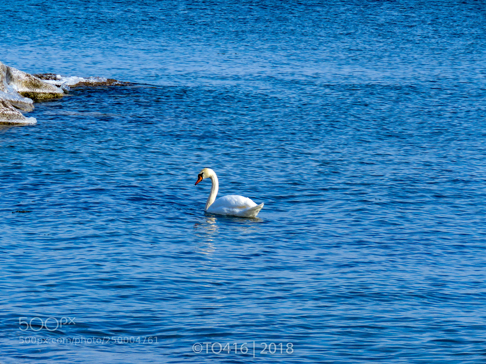 Canon PowerShot SX60 HS sample photo. Lake ontario photography