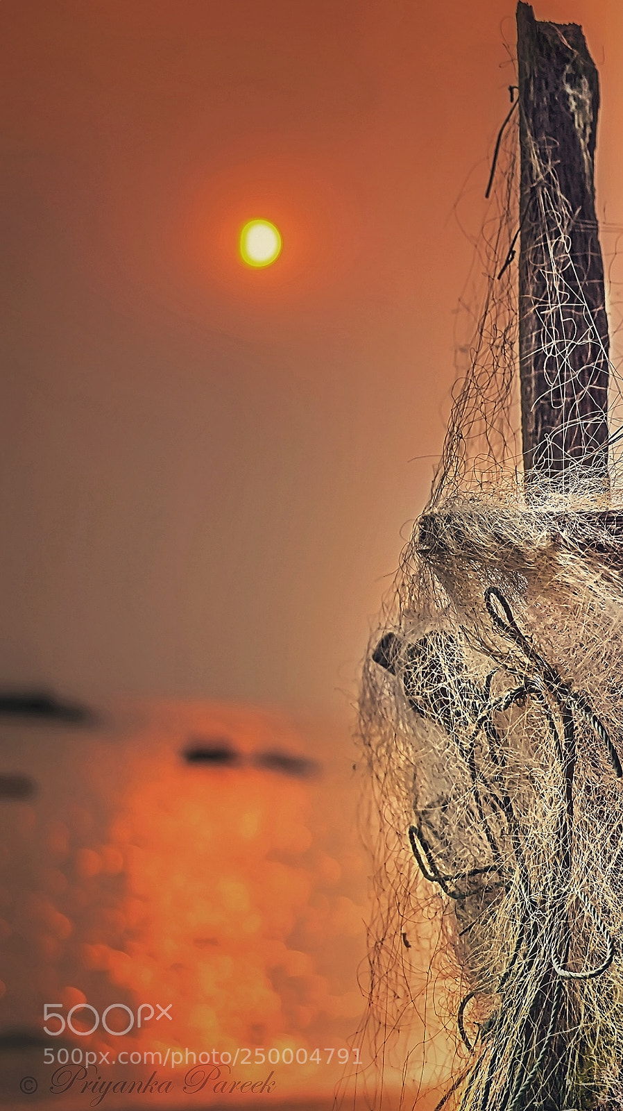 Sony Alpha a3500 sample photo. The fisherman's net photography