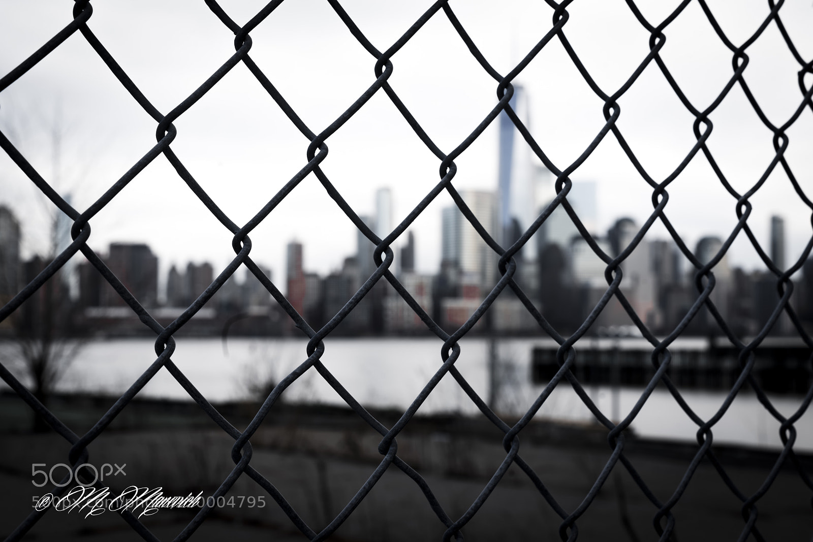 Sony a7R II sample photo. + + + photography