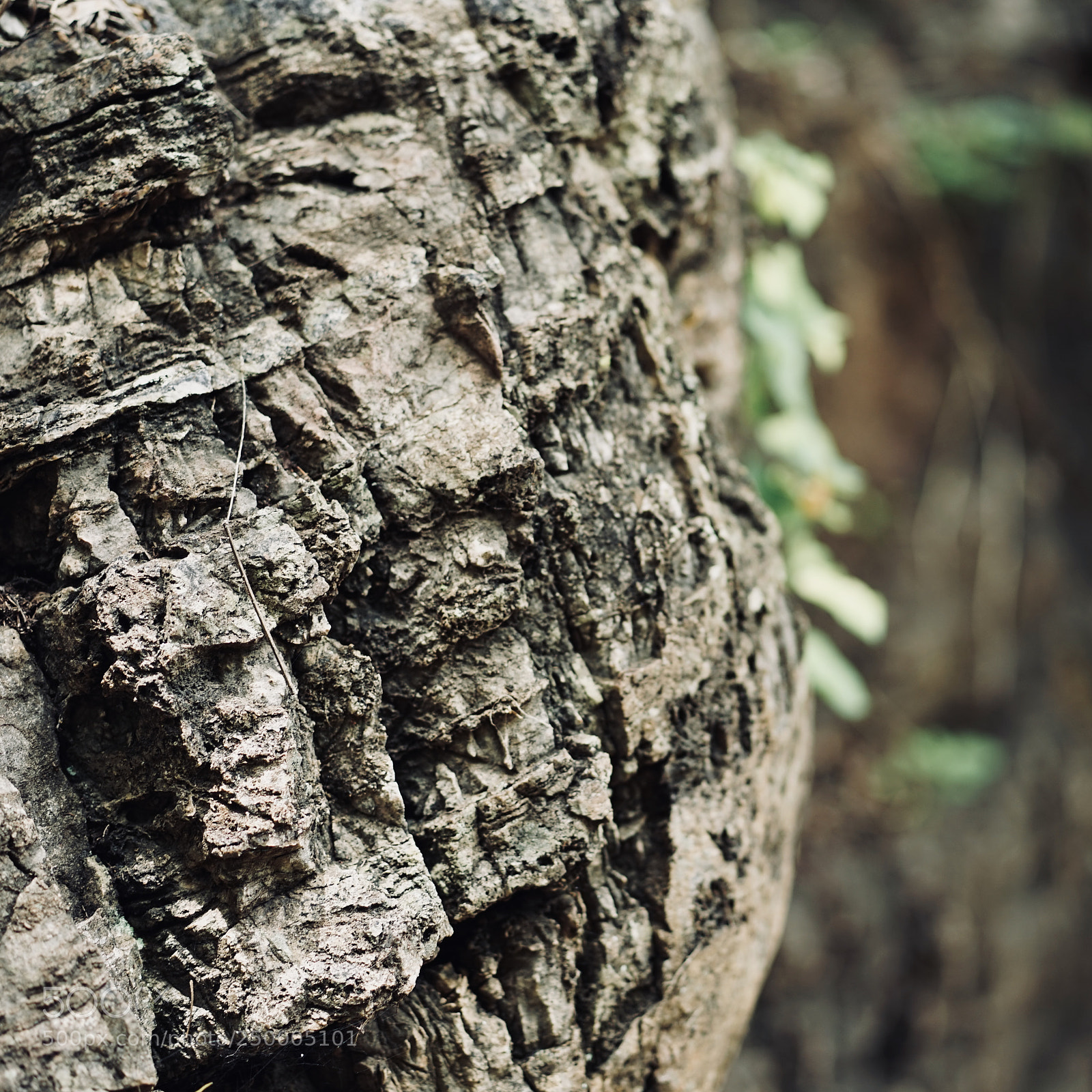 Sony a7 sample photo. Untitled#7 photography