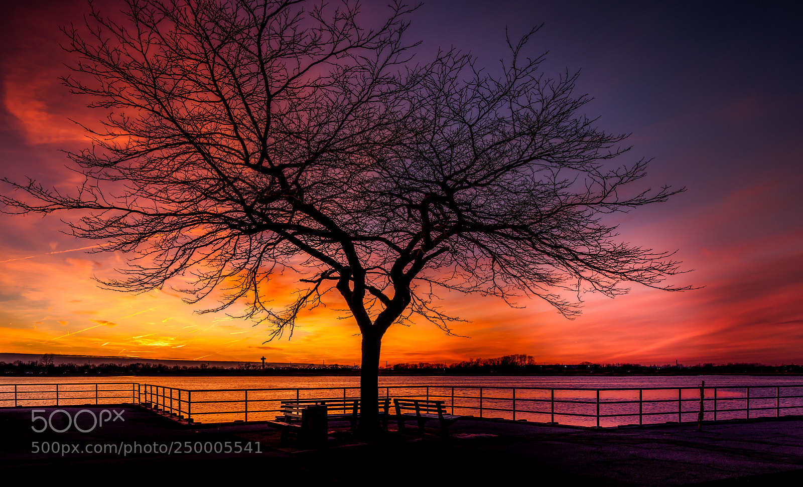 Nikon D850 sample photo. A tree stands alone photography