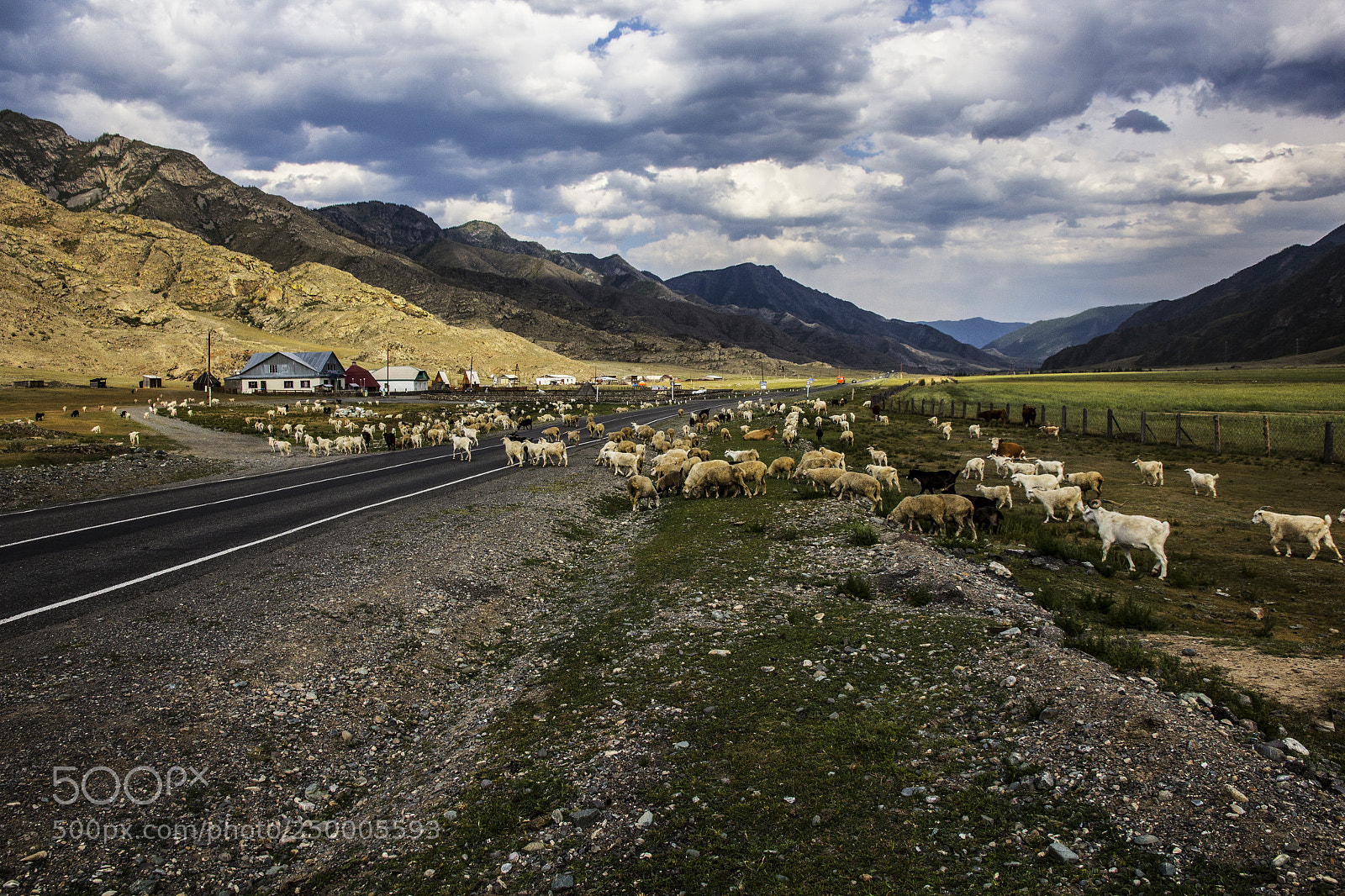 Canon EOS 60D sample photo. Road in deep altai photography