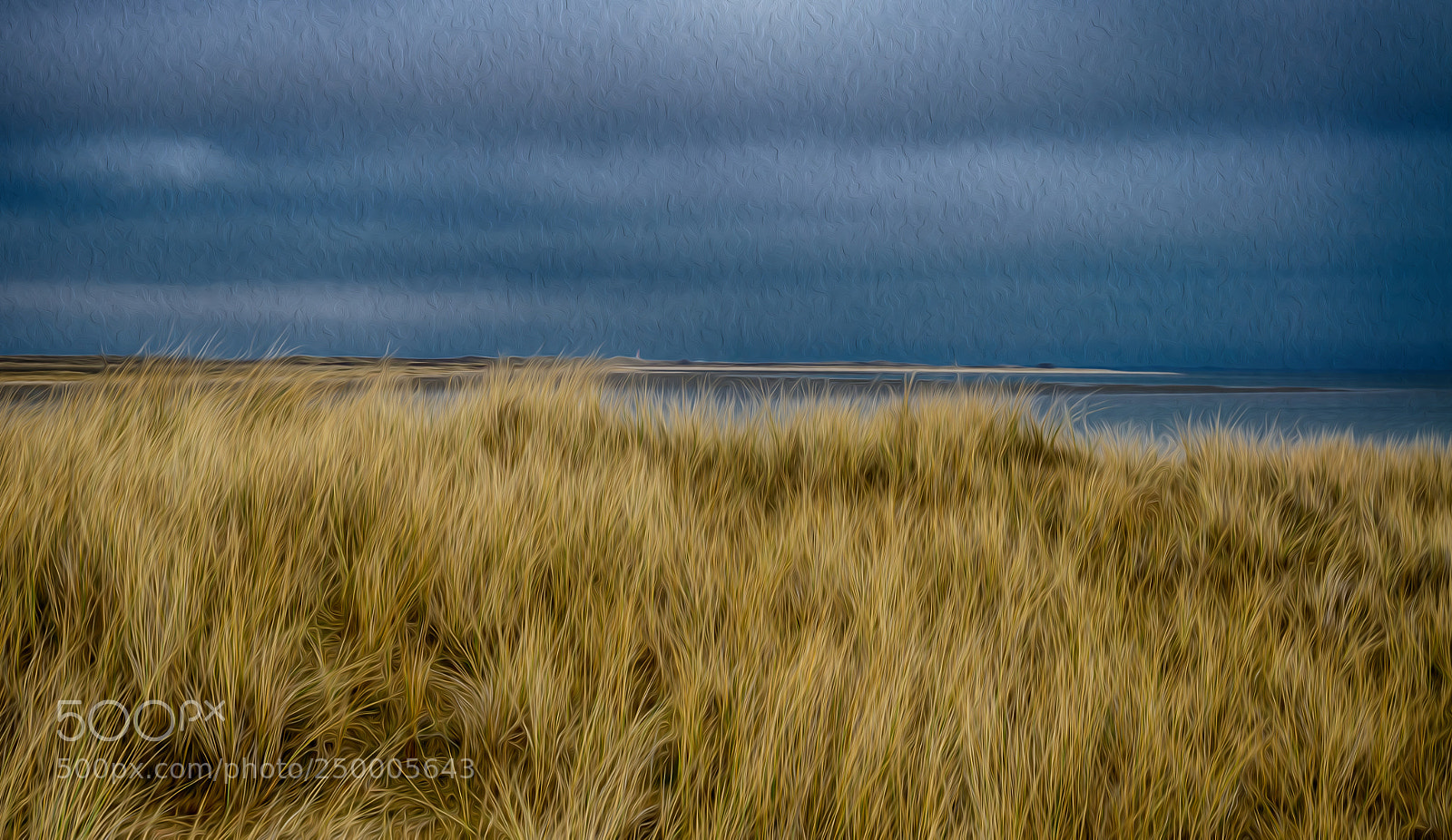 Nikon D7000 sample photo. Die tiefe des landes photography