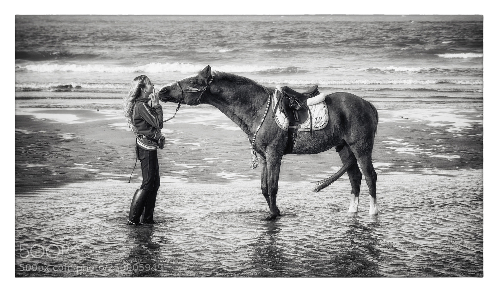 Nikon D7100 sample photo. Untitled photography