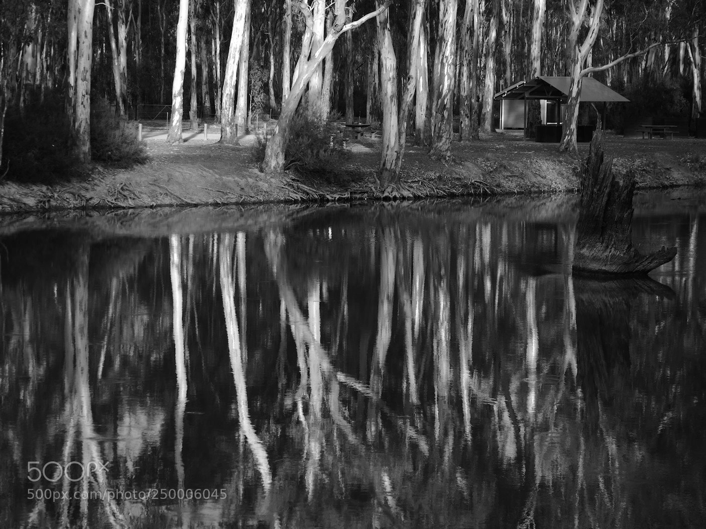 Panasonic Lumix DMC-GH4 sample photo. Edward river nsw, australia photography