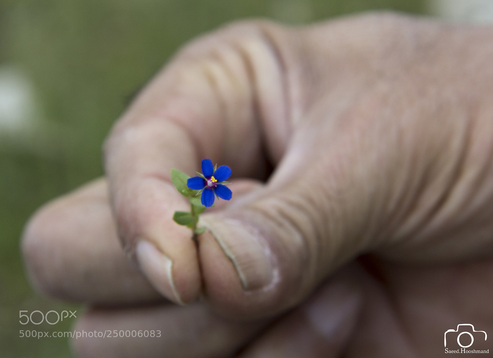 Canon EOS 60D sample photo. Untitled photography