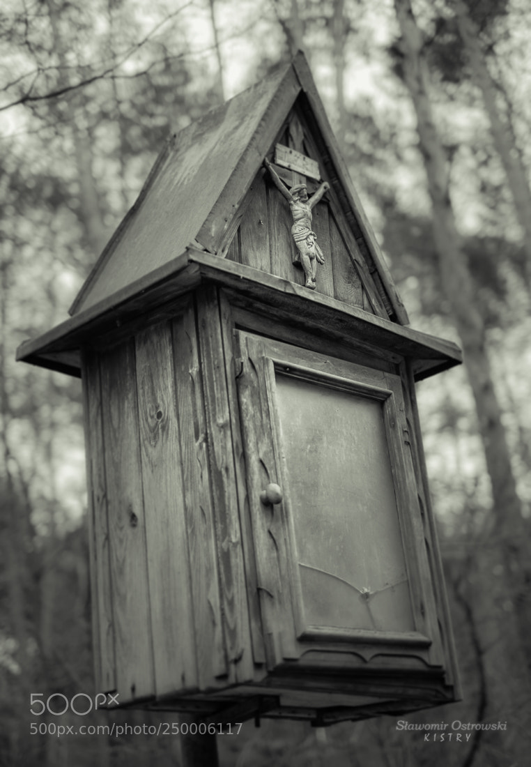 Fujifilm X-T1 sample photo. Wayside shrine photography