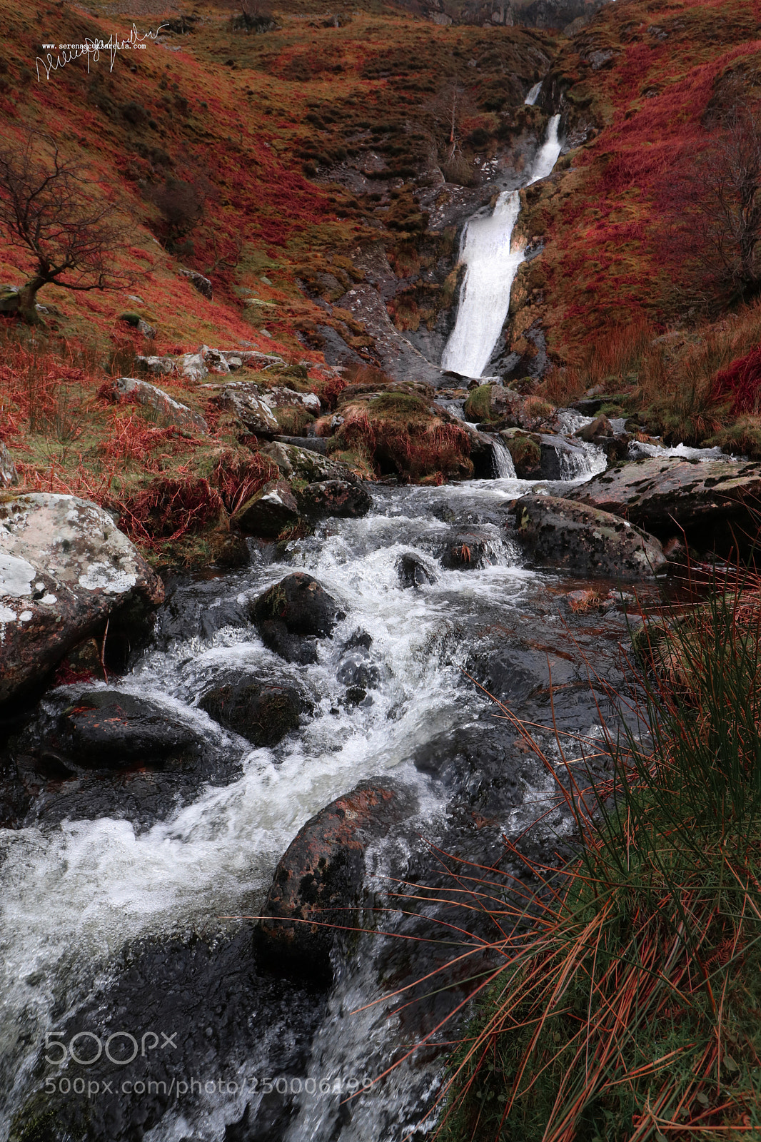 Canon EOS 80D sample photo. Wales photography