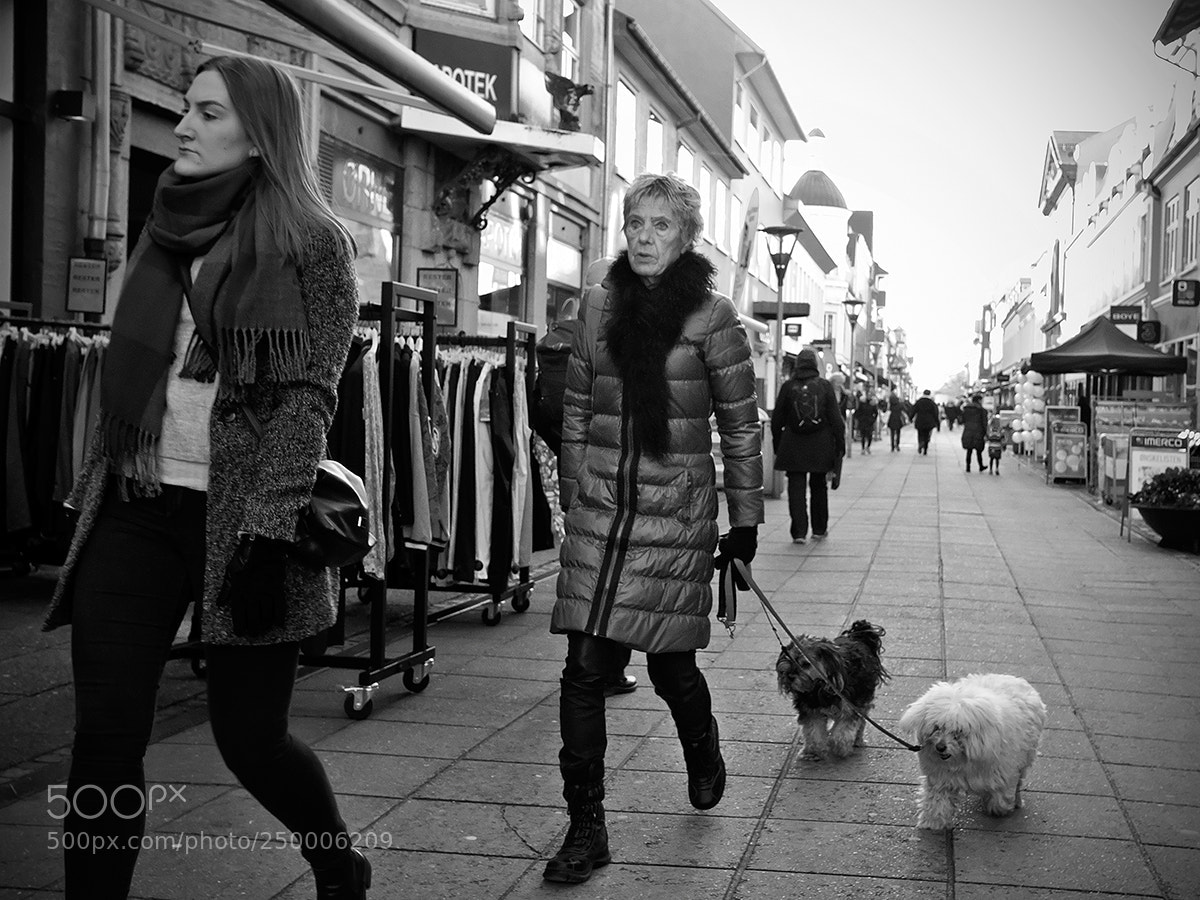 Fujifilm X-Pro2 sample photo. Walking the dogs photography