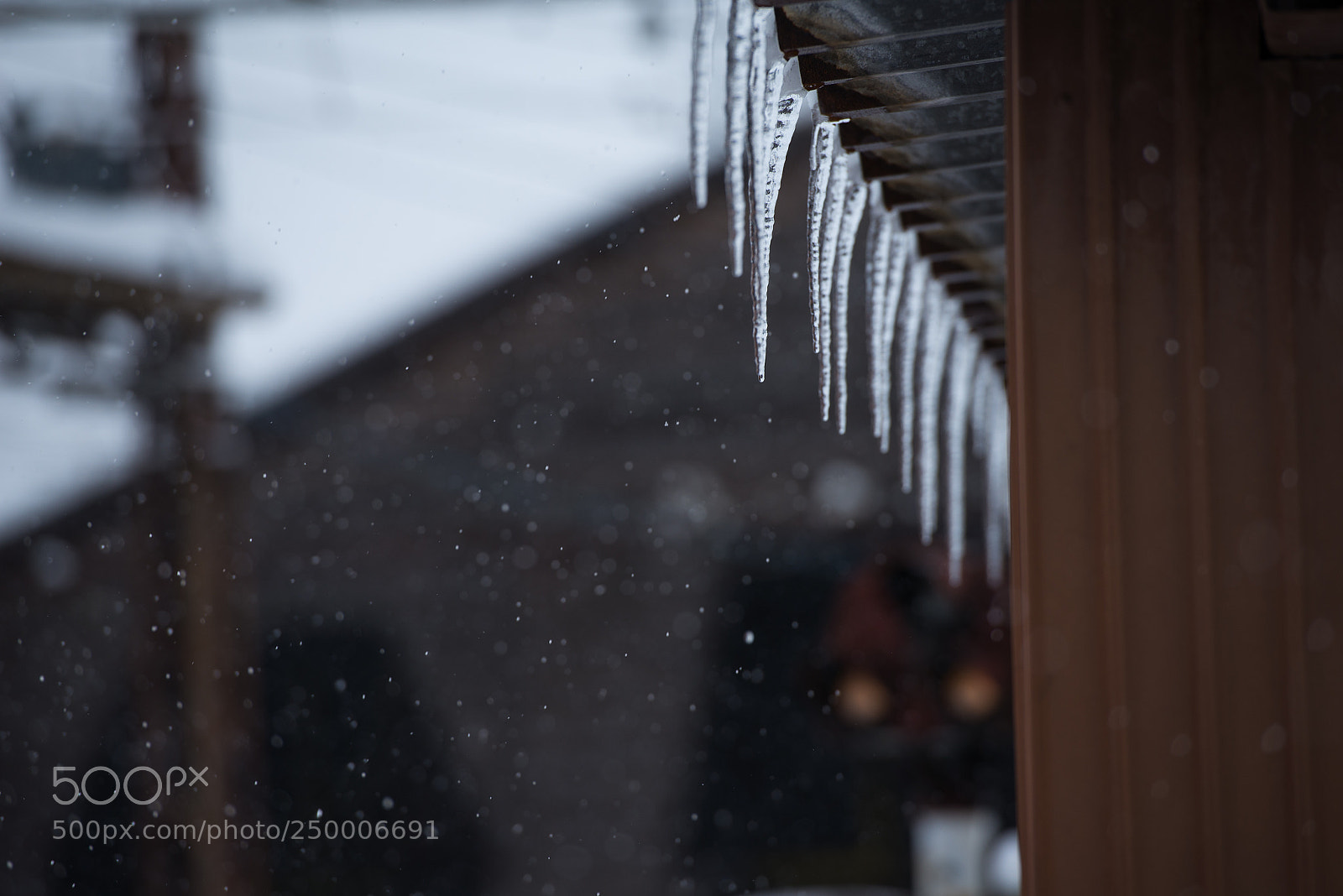 Nikon D600 sample photo. Icicle photography
