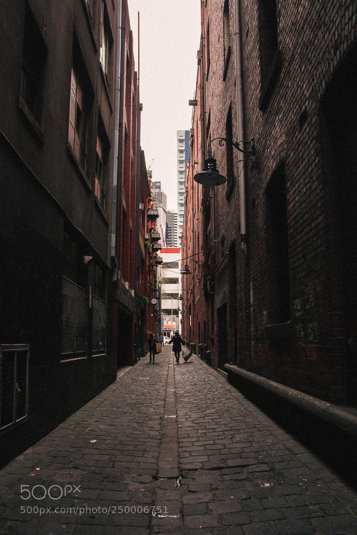 Nikon D610 sample photo. Missing melbourne photography