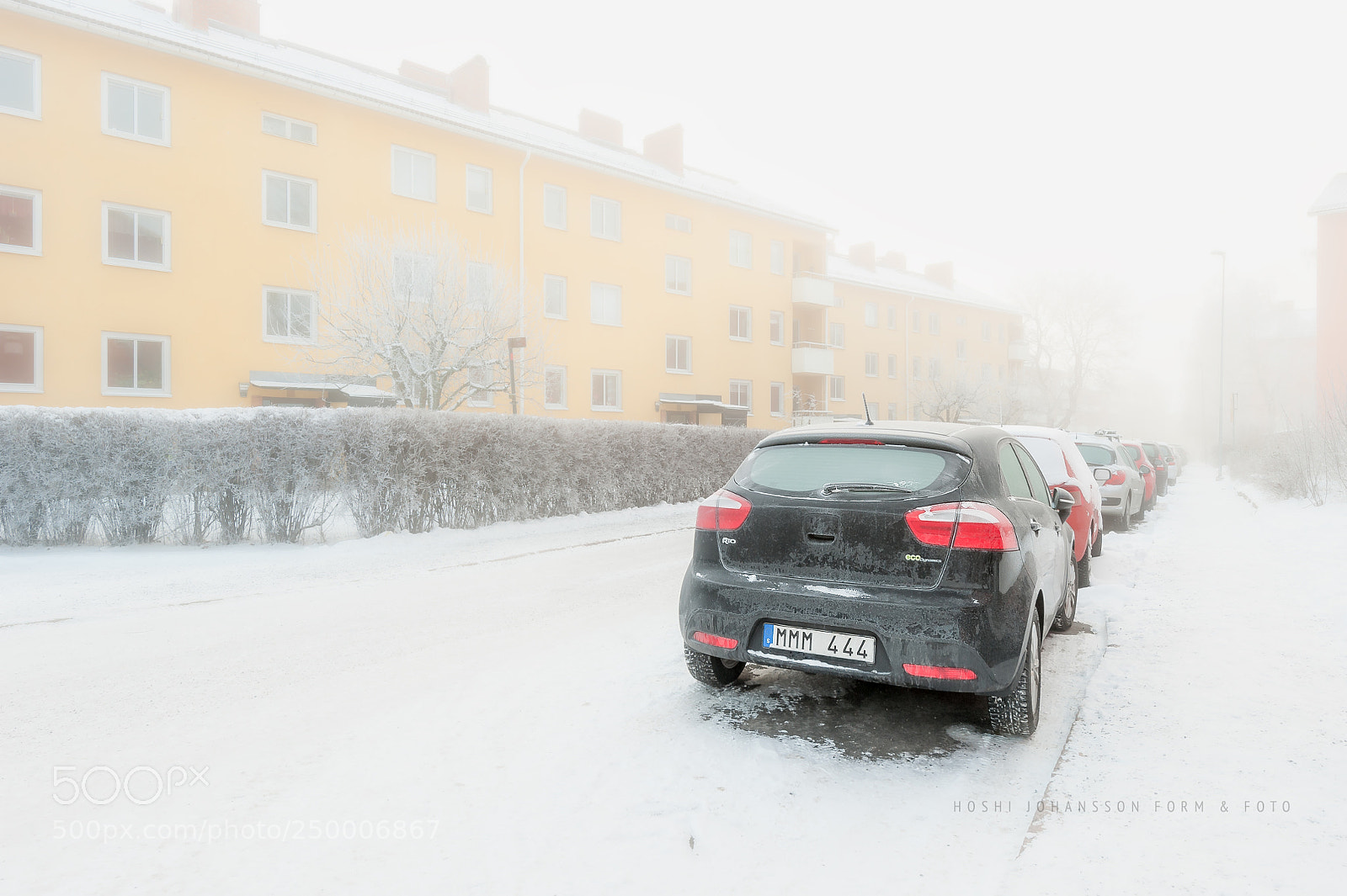 Nikon D700 sample photo. Icy cold photography