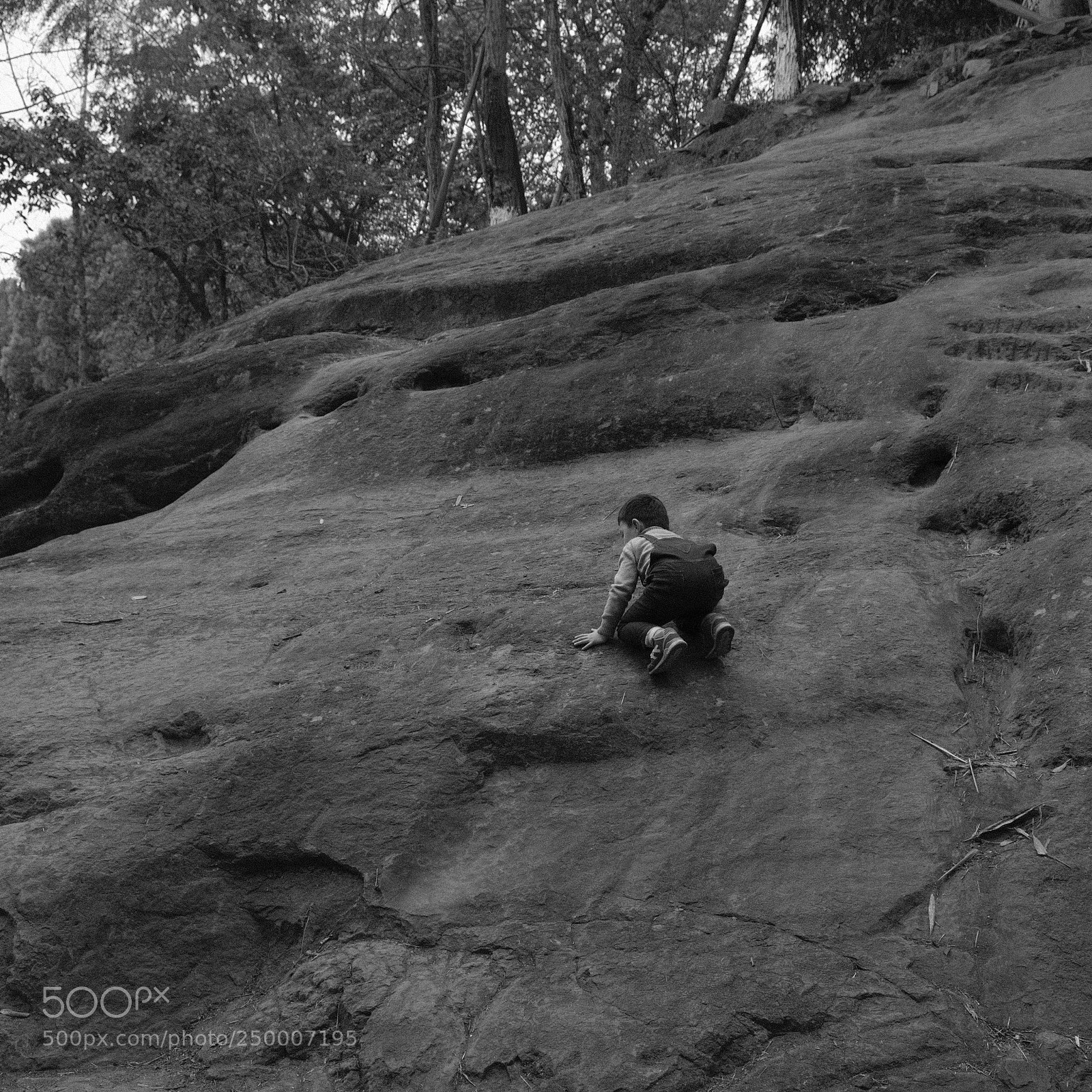 Fujifilm X-H1 sample photo. Untitled photography
