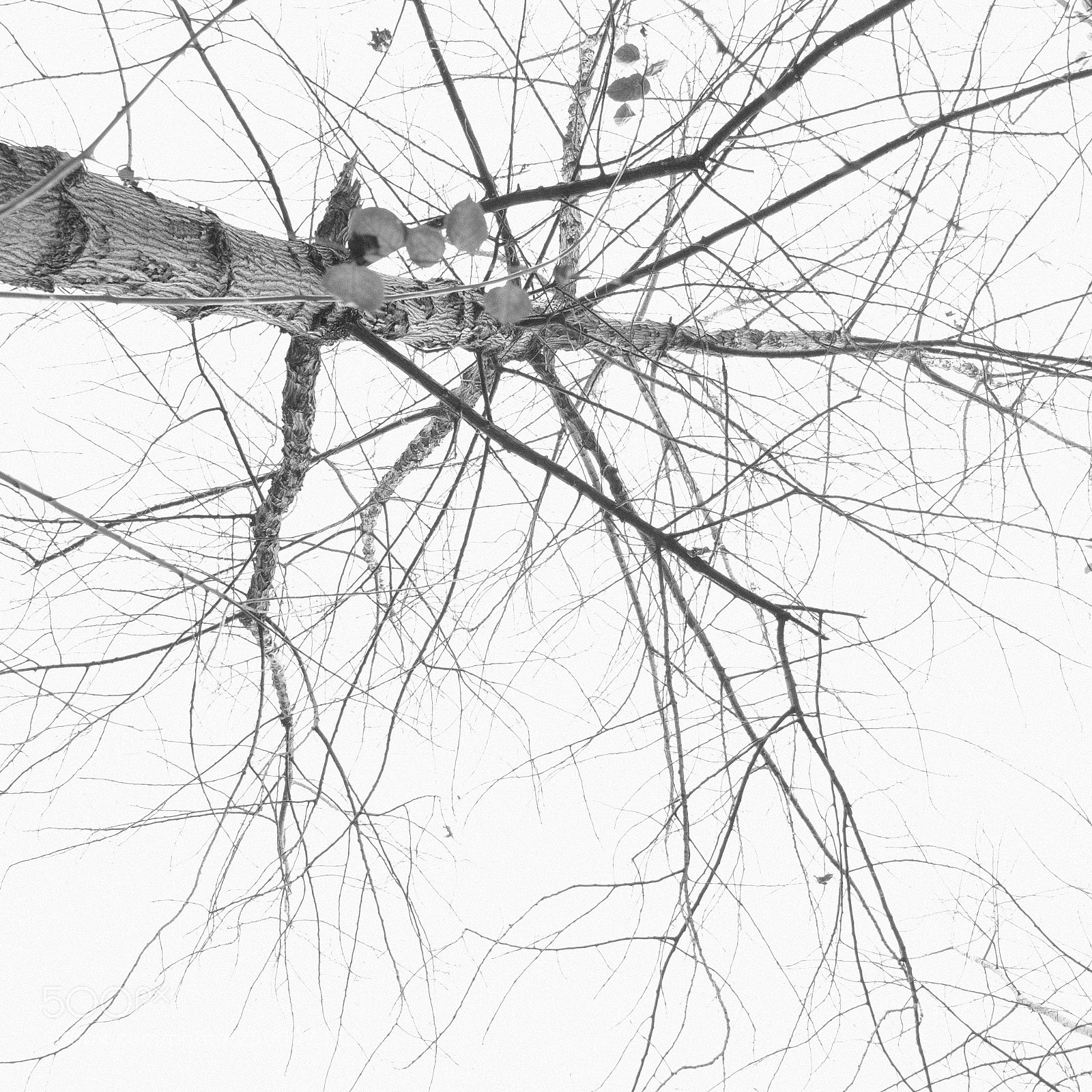 Fujifilm X-H1 sample photo. Untitled photography