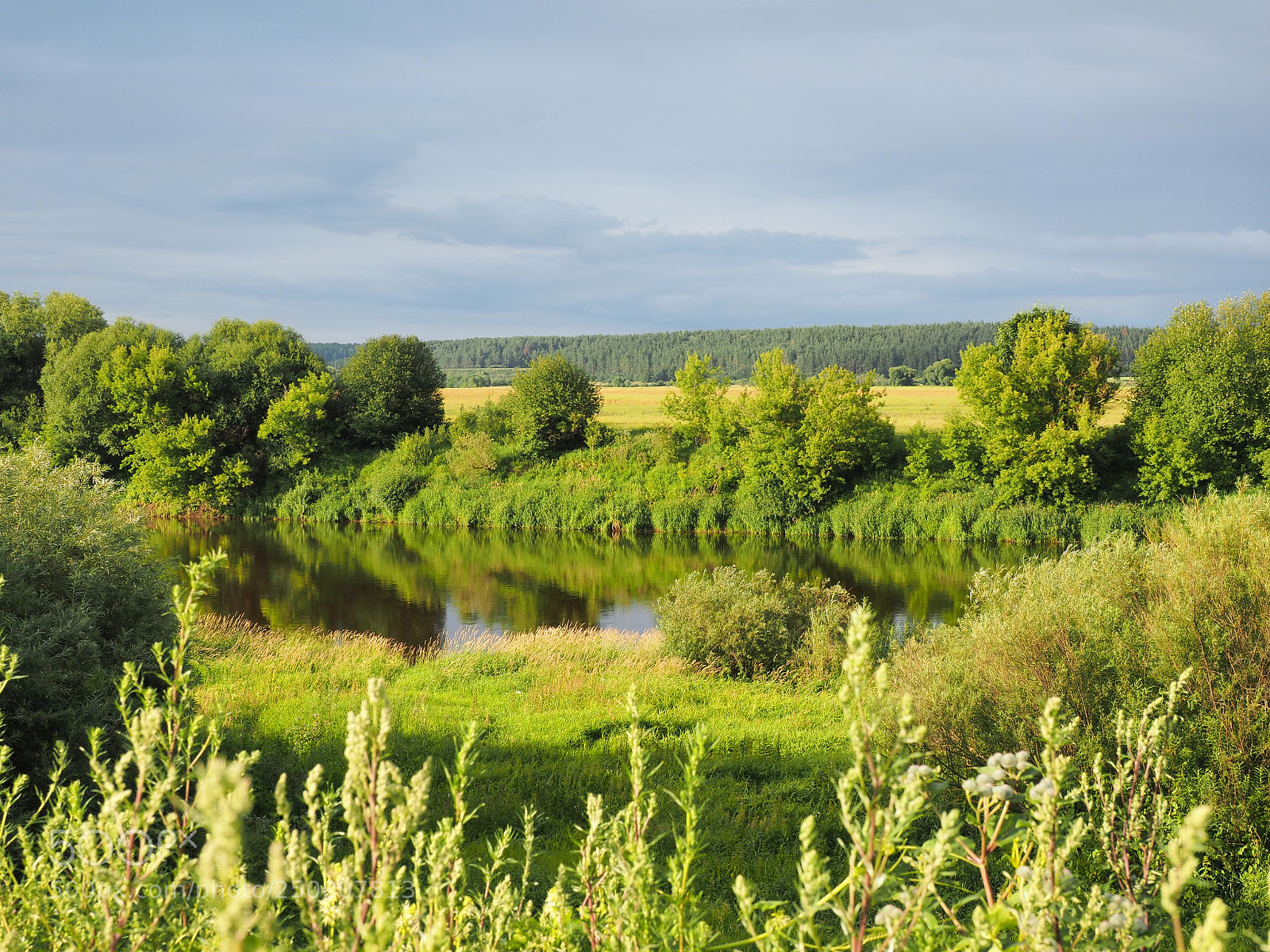 Olympus OM-D E-M1 sample photo. Dnieper river photography