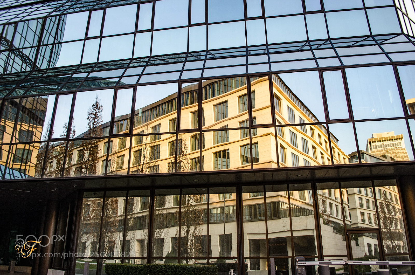 Nikon D5100 sample photo. Spiegelung ! photography