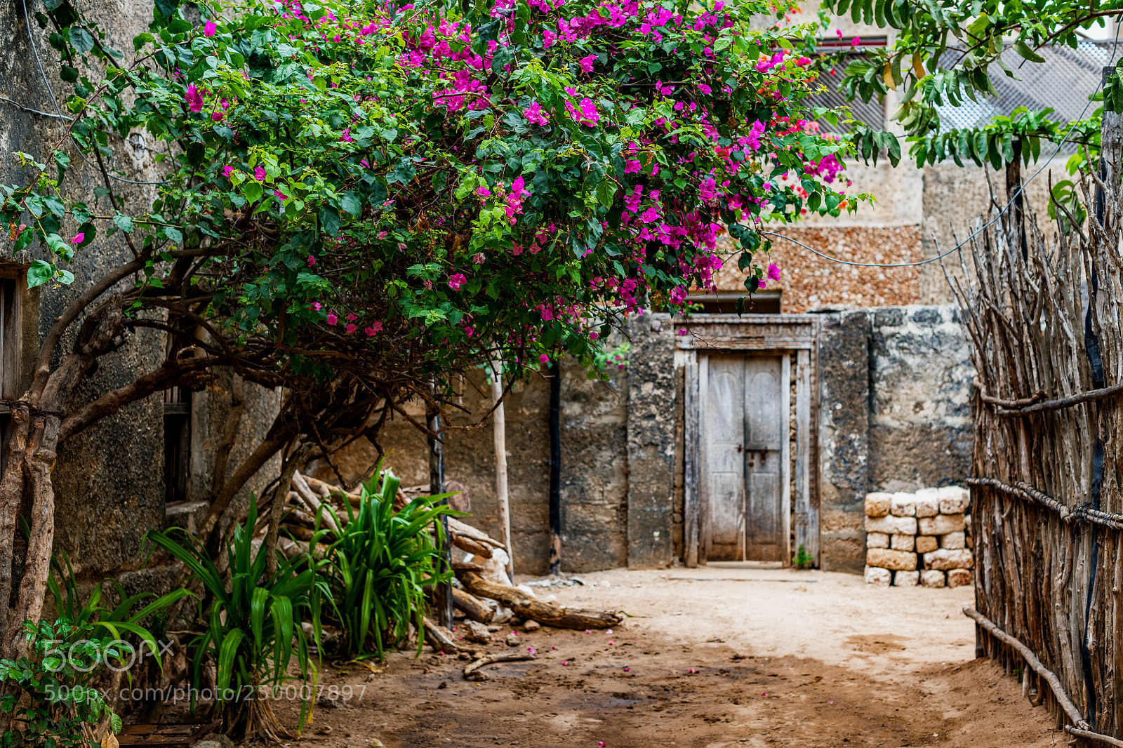Nikon D850 sample photo. Quiet swahili street on photography