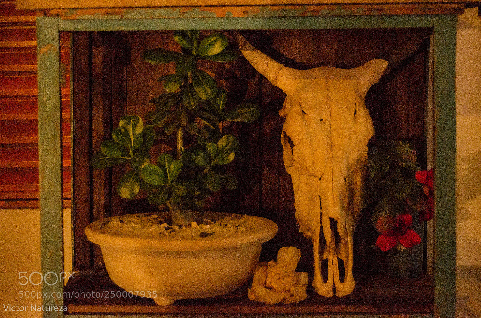 Nikon D7000 sample photo. Untitled photography