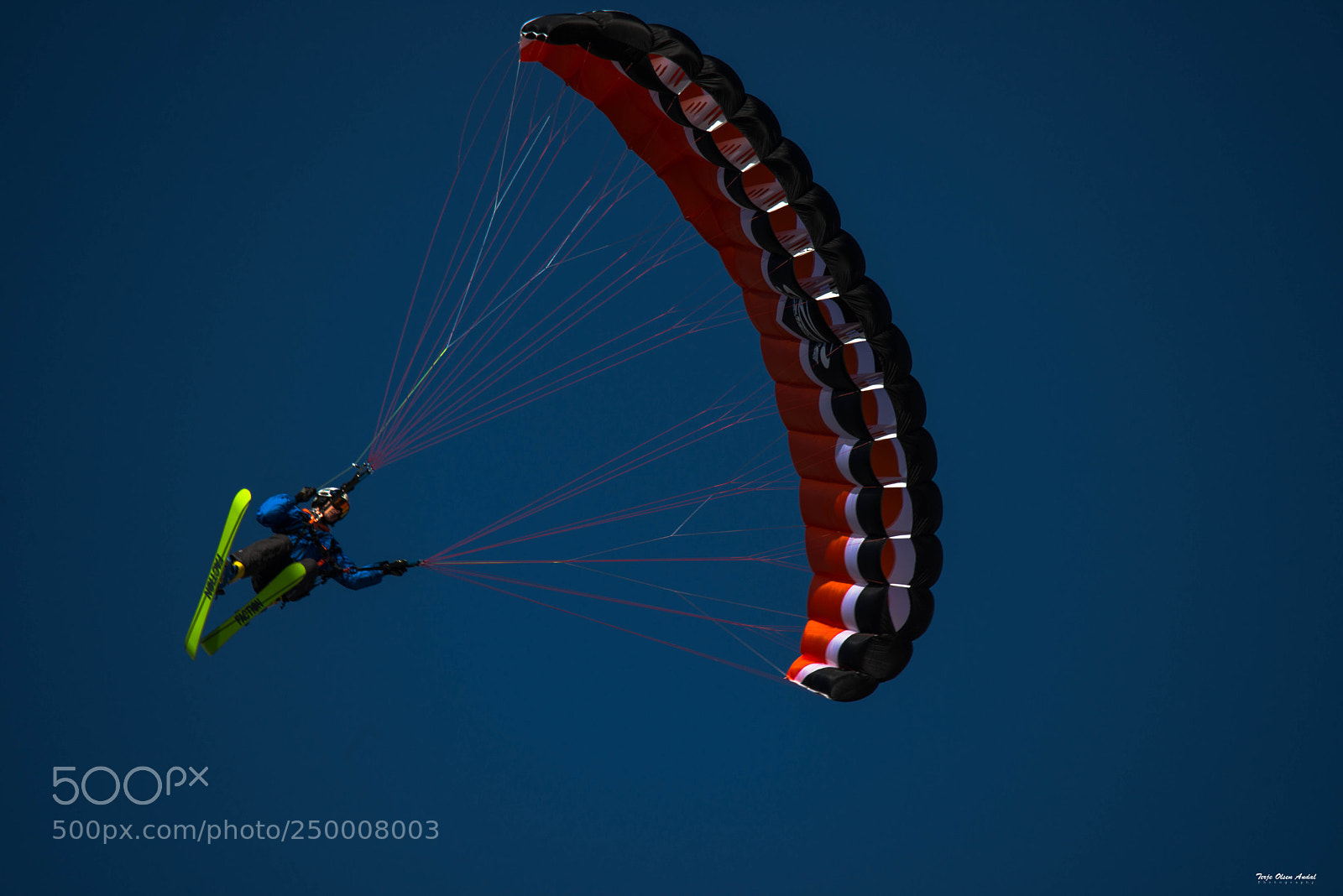 Nikon D800 sample photo. Flying high photography