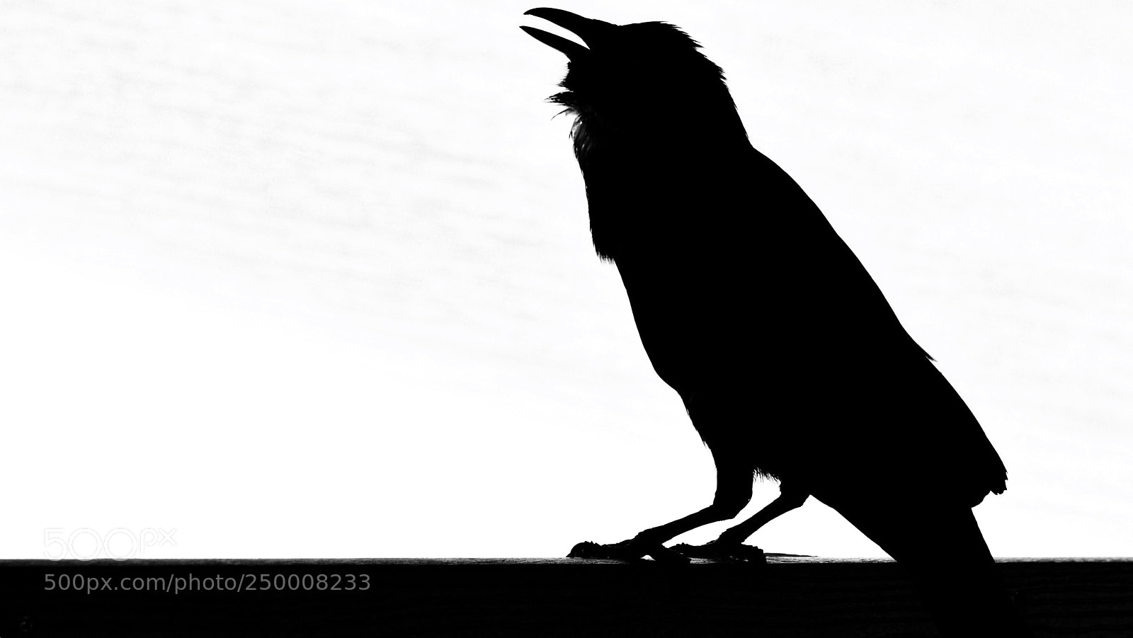 Nikon D5100 sample photo. Shadow photography