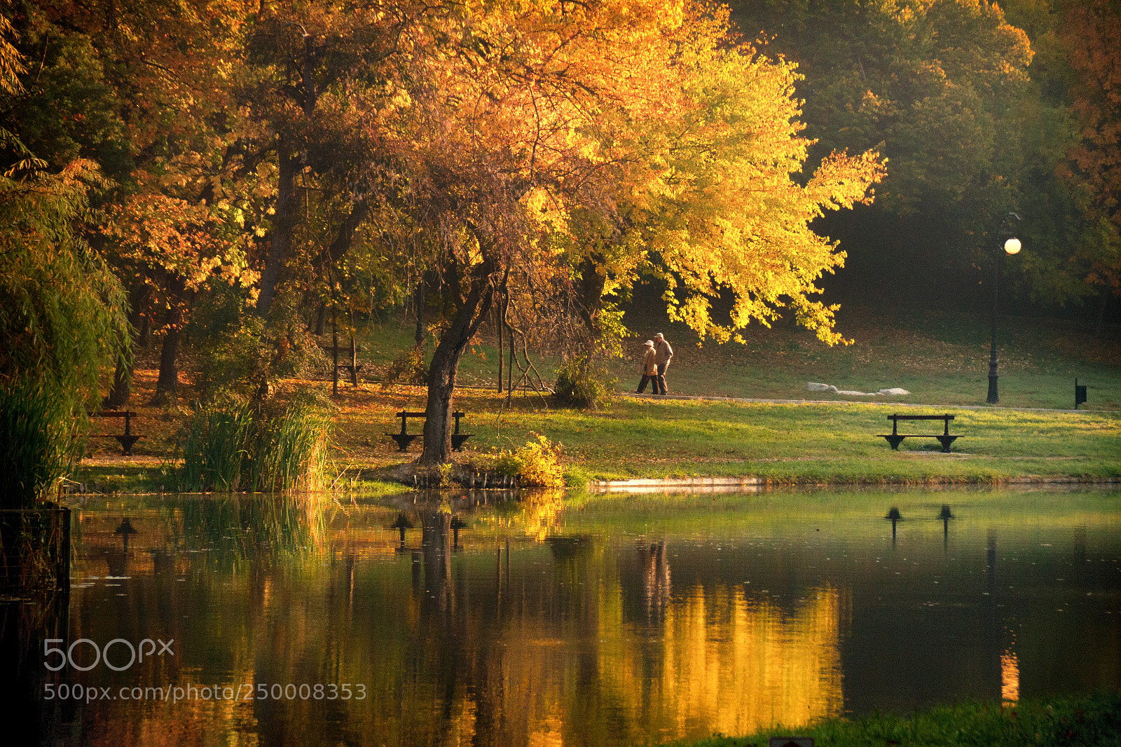 Canon EOS 7D sample photo. Yellow. photography