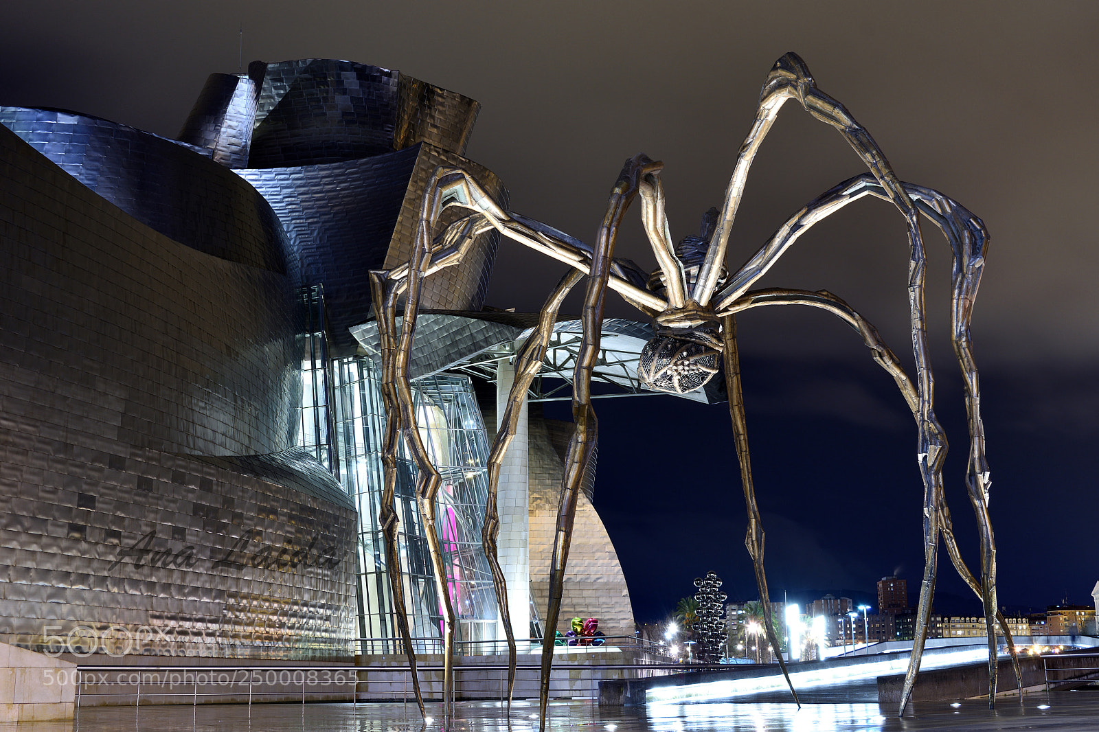 Nikon D7200 sample photo. Guggenheim museum bilbao photography