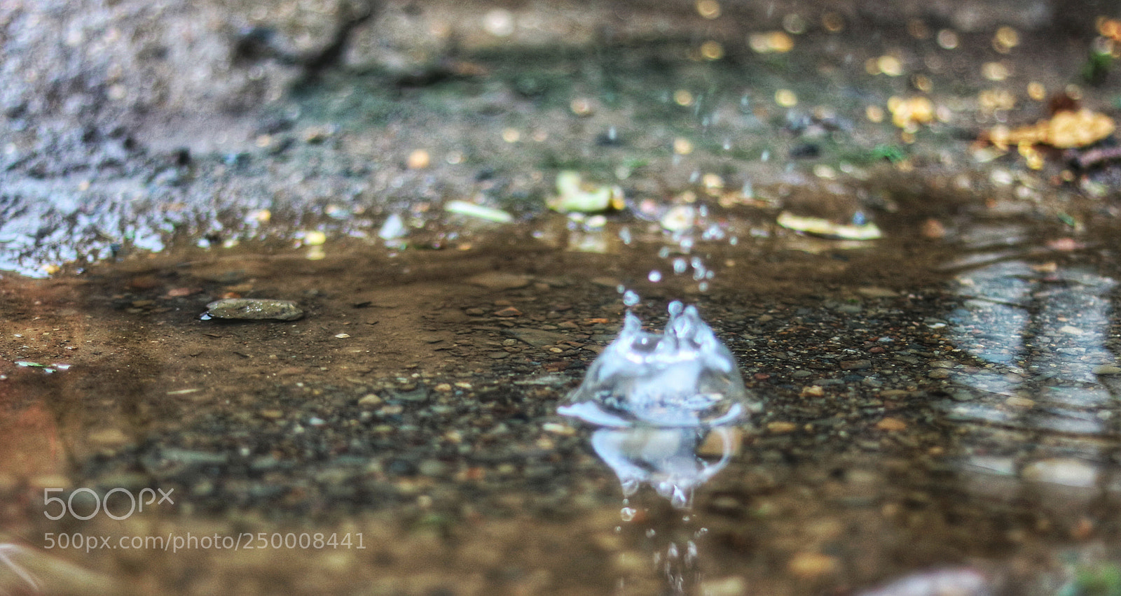 Canon EOS 760D (EOS Rebel T6s / EOS 8000D) sample photo. Diadia photography