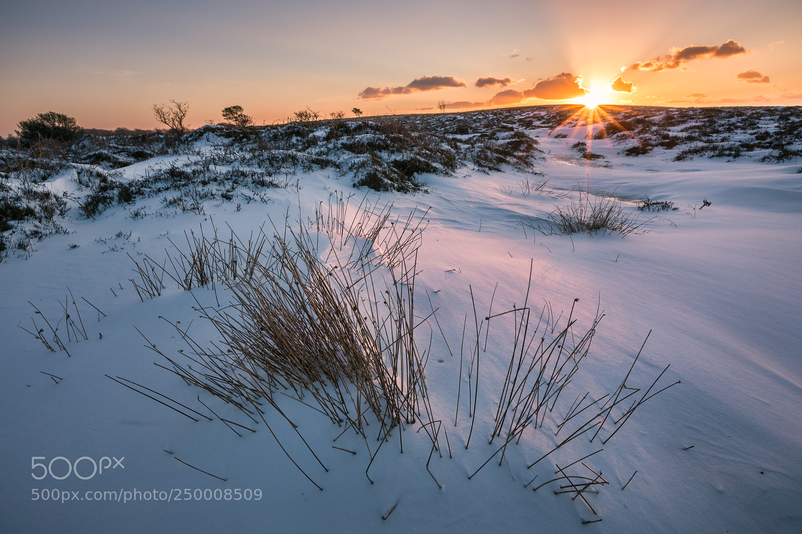 Canon EOS 5D Mark IV sample photo. Sunset on the quantocks photography
