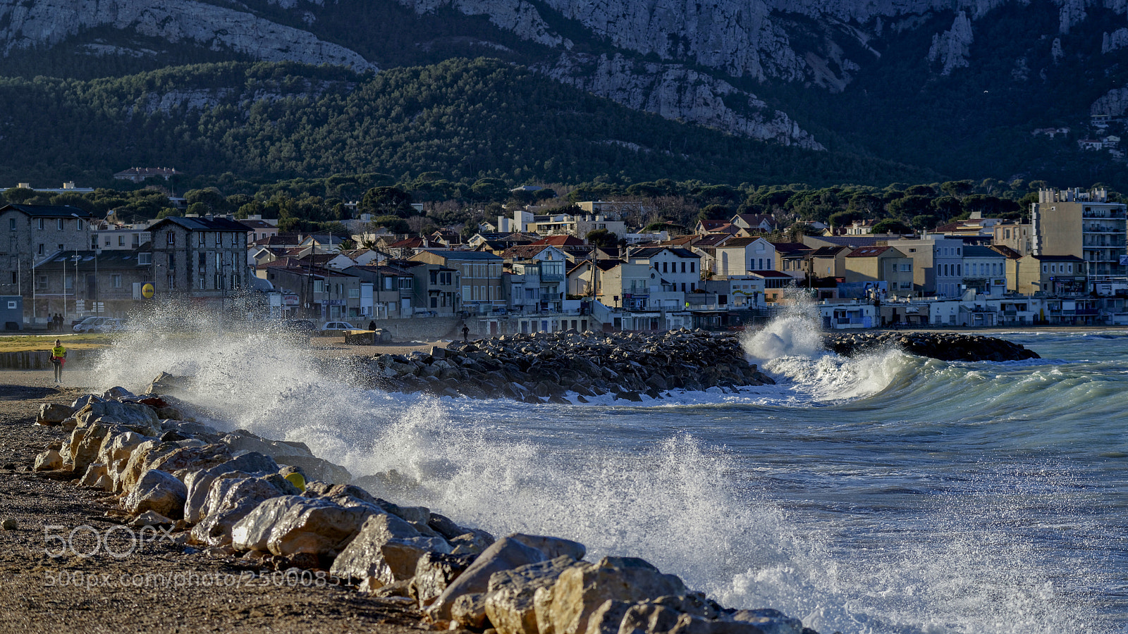 Nikon D800 sample photo. Windy day # 2 photography