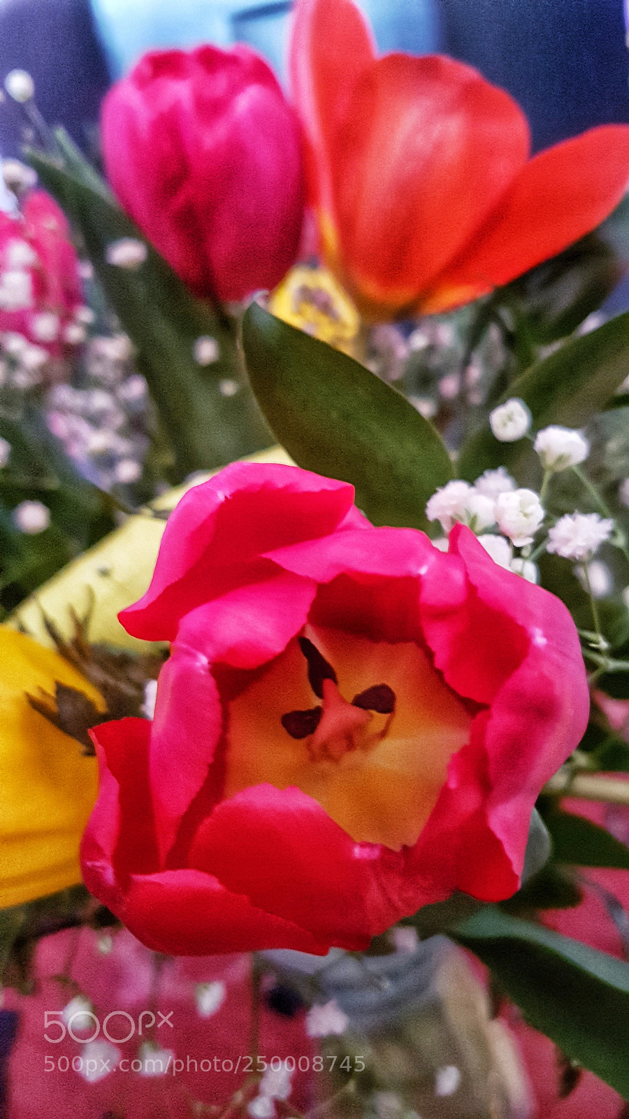 Samsung Galaxy S7 Edge sample photo. Untitled photography